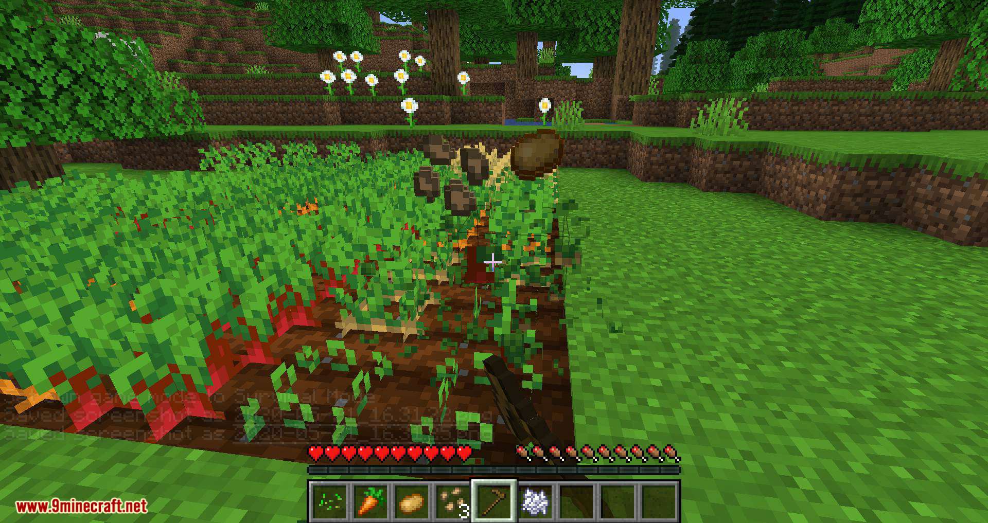 Replanting Crops mod for minecraft 07