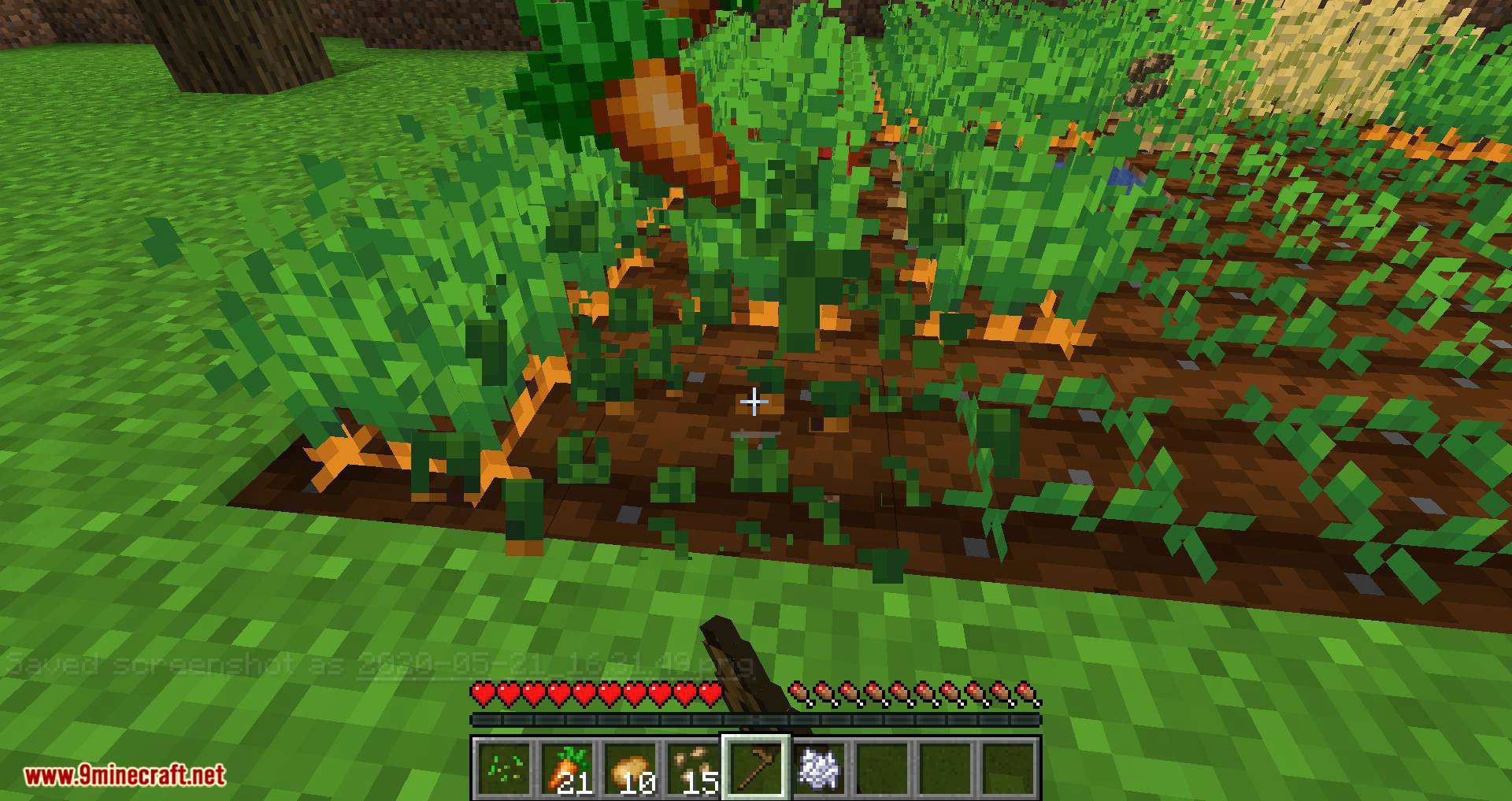 Replanting Crops mod for minecraft 10