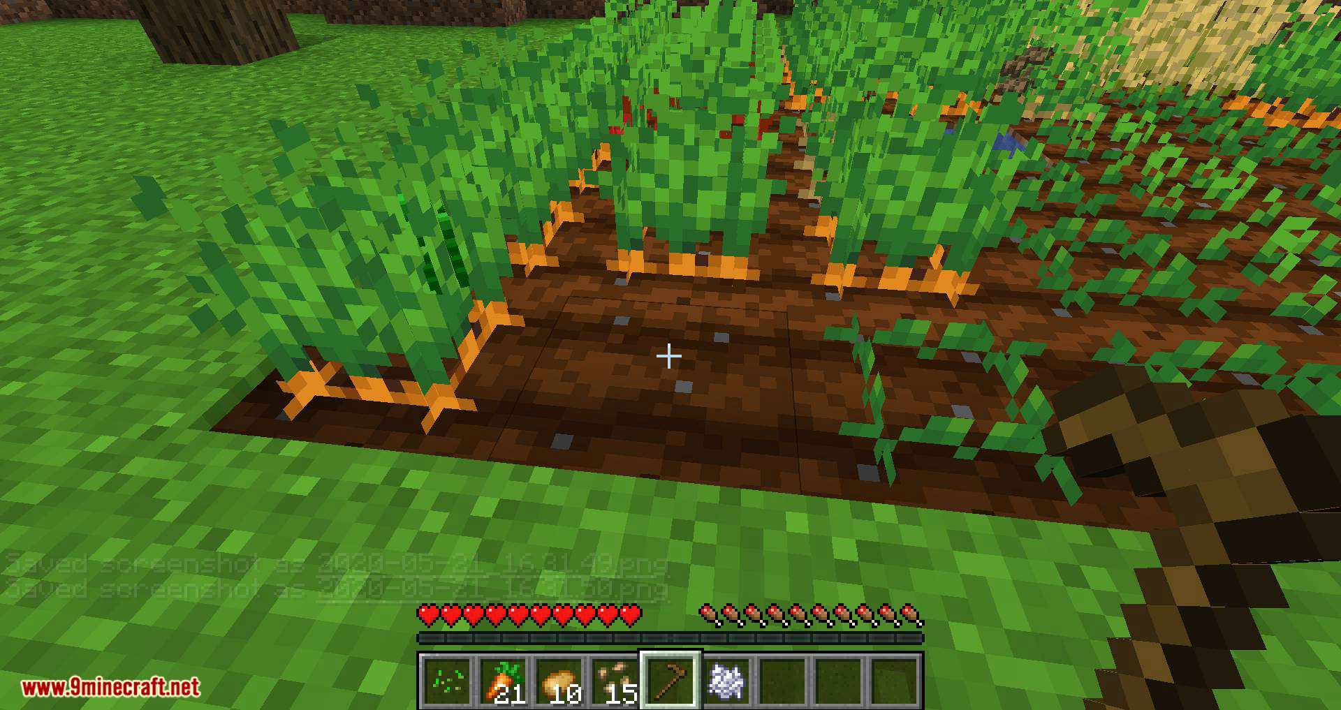 Replanting Crops mod for minecraft 11