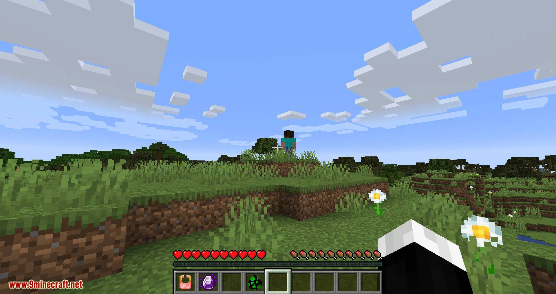 The Legend of Herobrine mod for minecraft 06