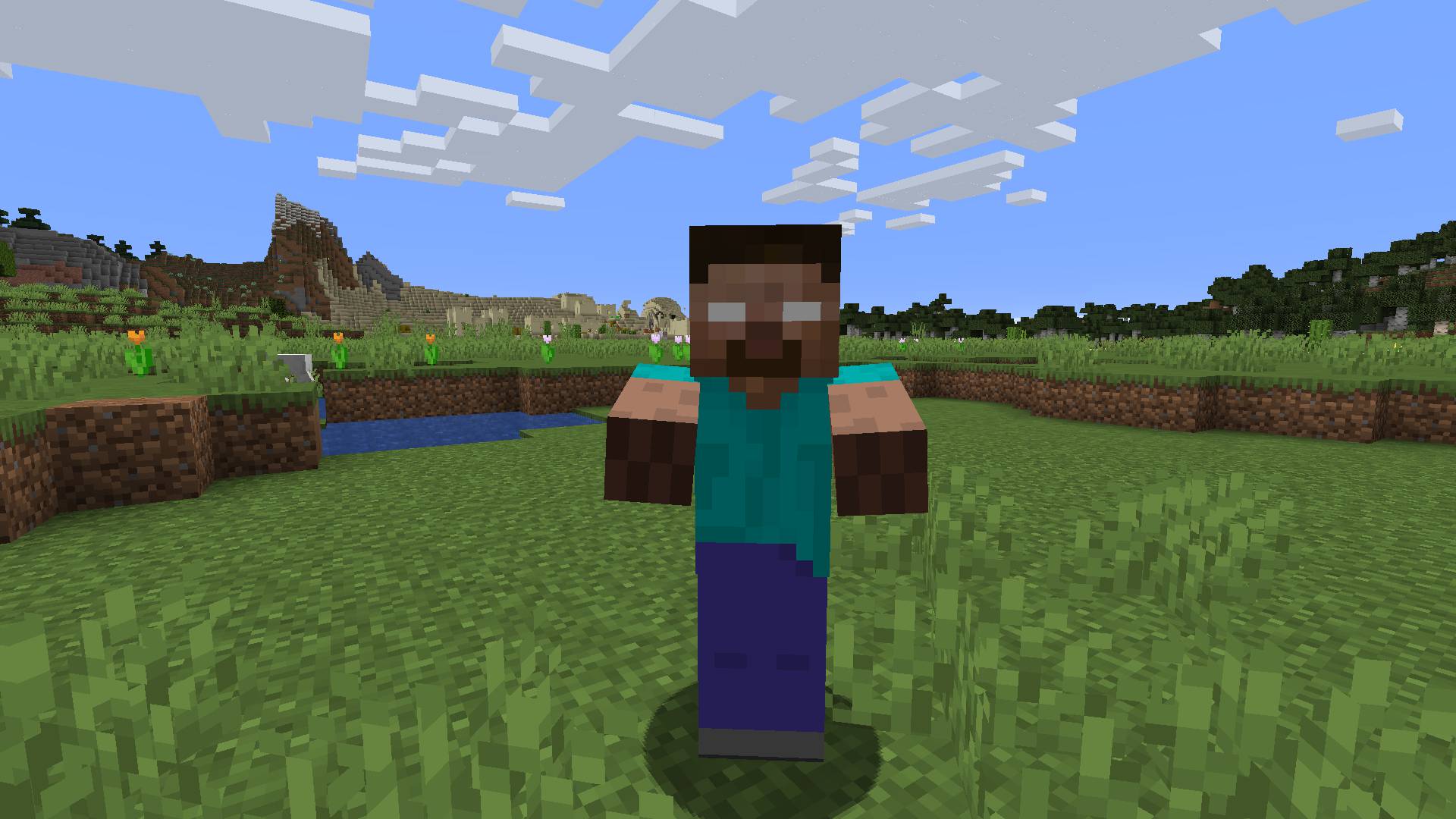 herobrine the r