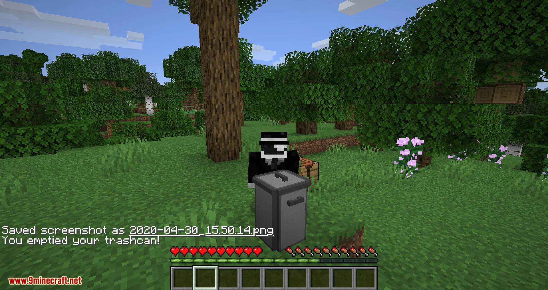 Trash mod for minecraft 06