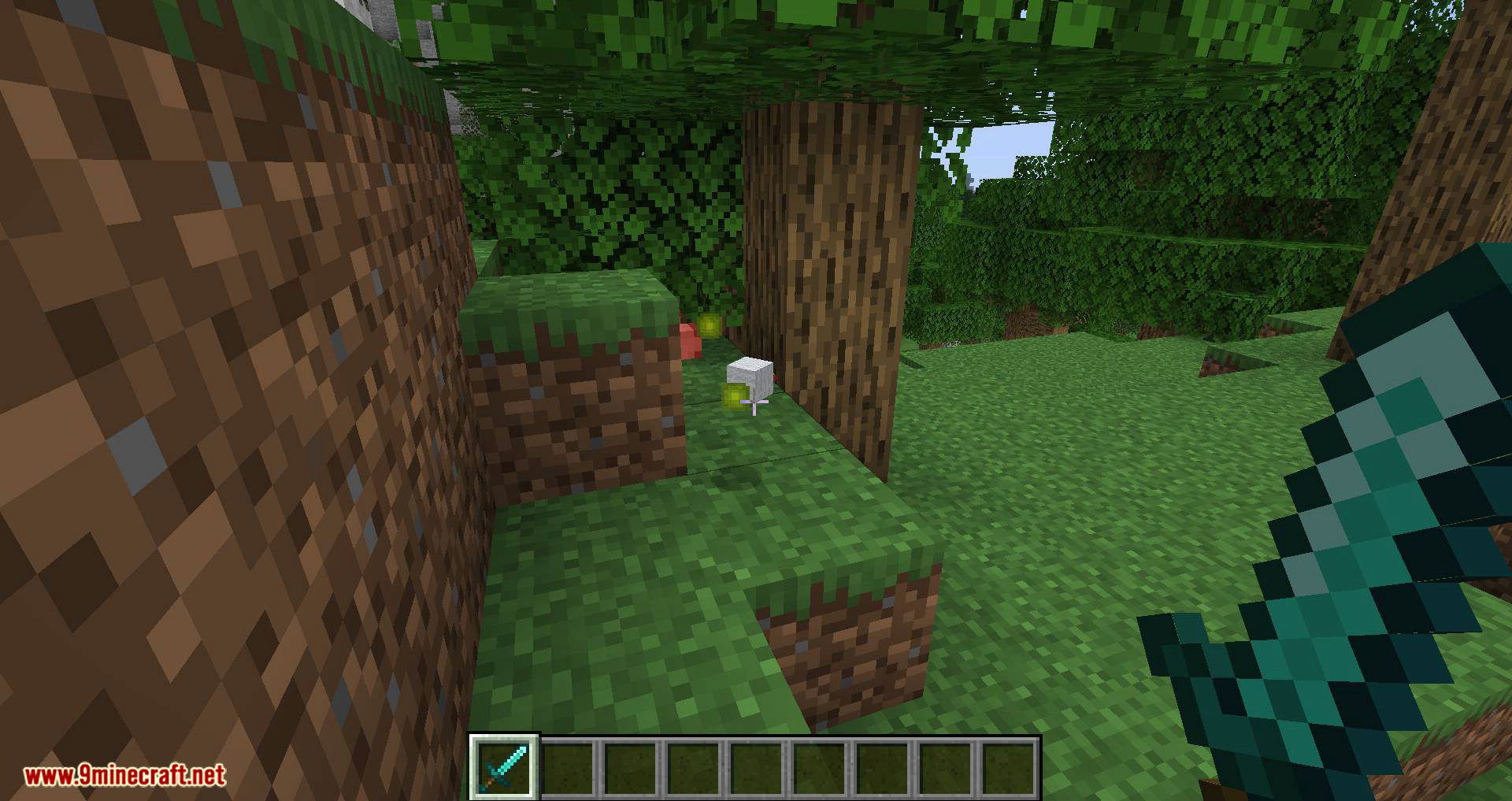 Better Dropped Items mod for minecraft 03