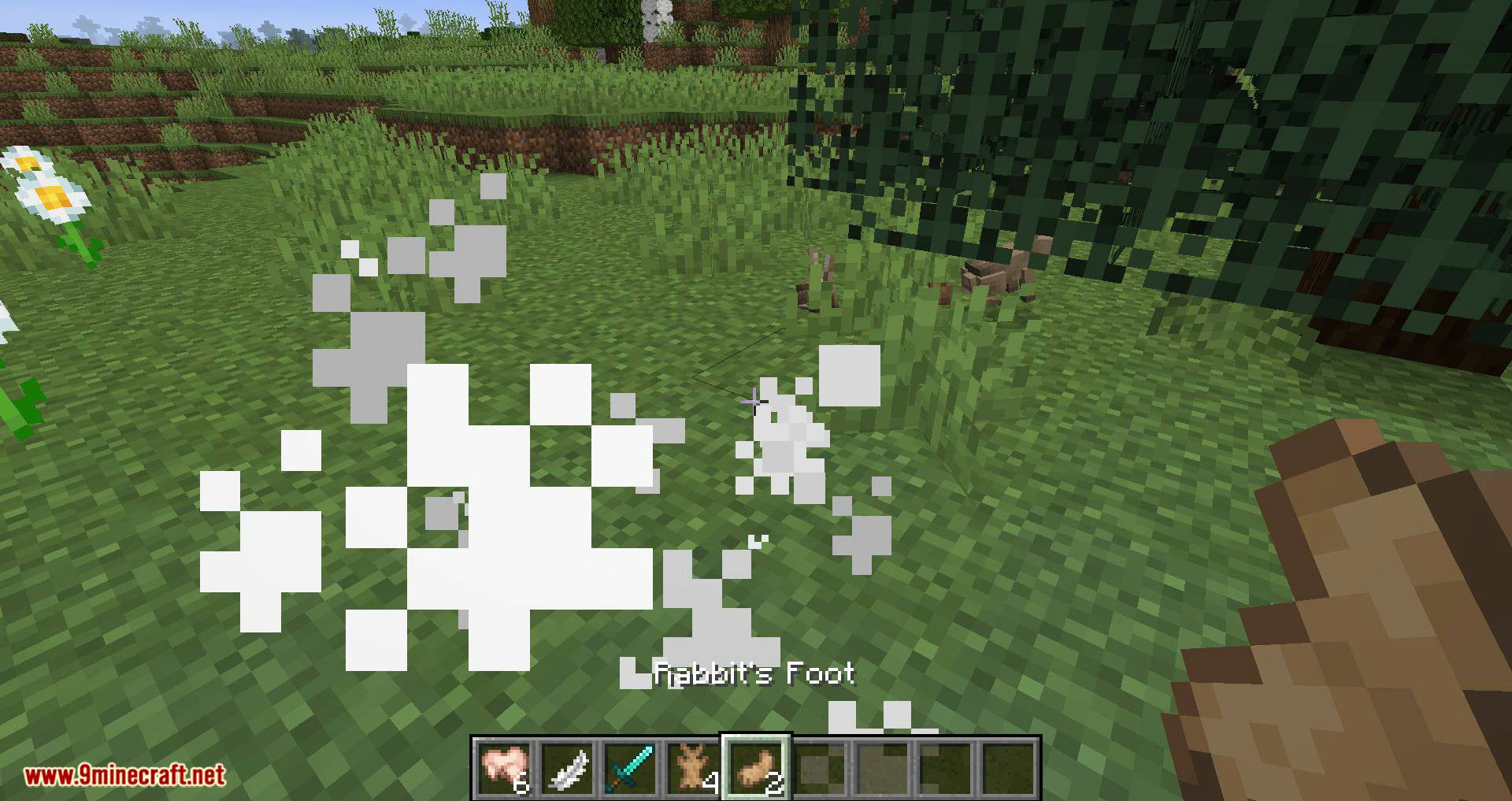 Bunny Boots mod for minecraft 12