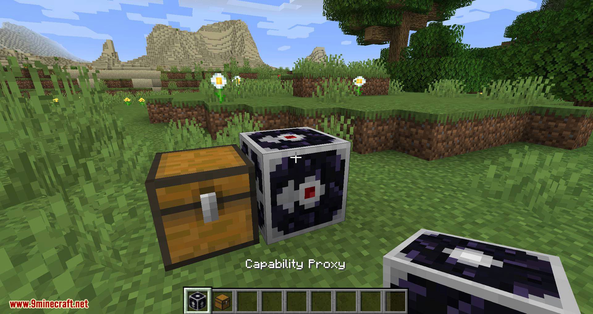 CapabilityProxy mod for minecraft 01