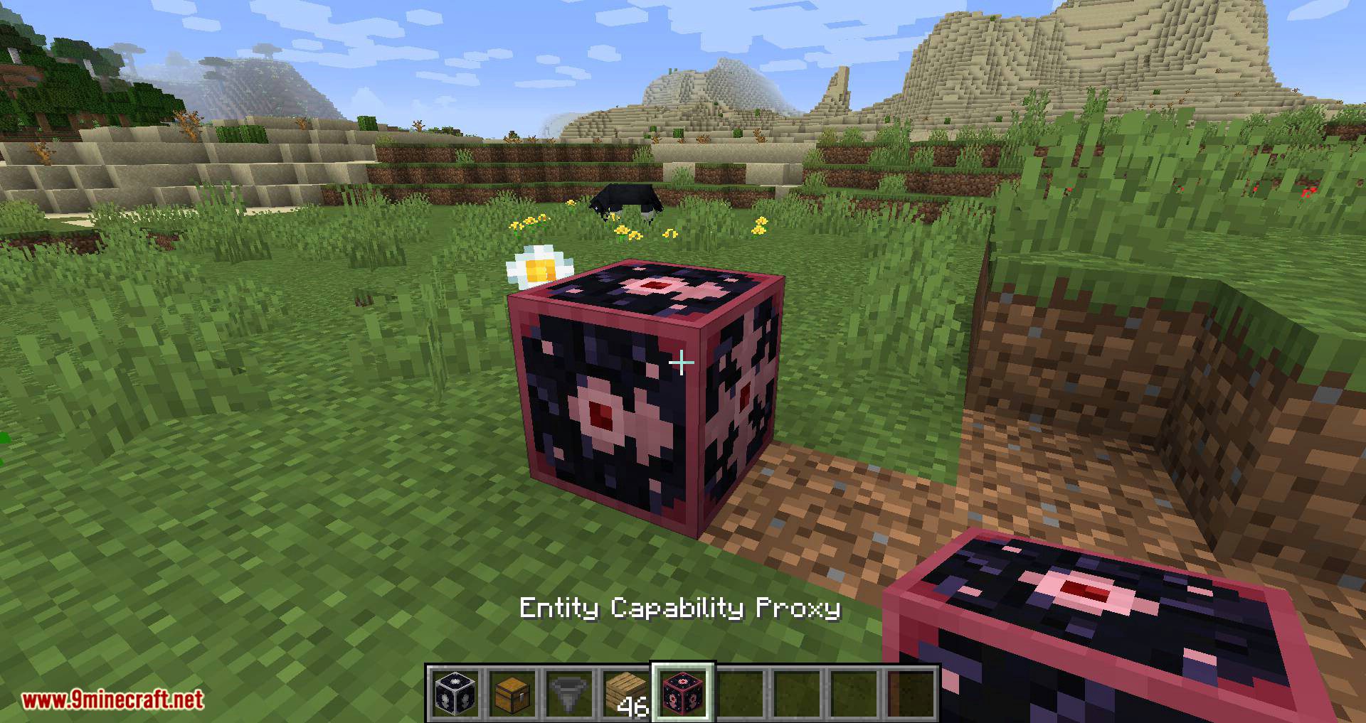 CapabilityProxy mod for minecraft 06