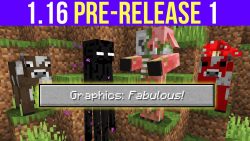 Minecraft 1.16 Pre-Release 1
