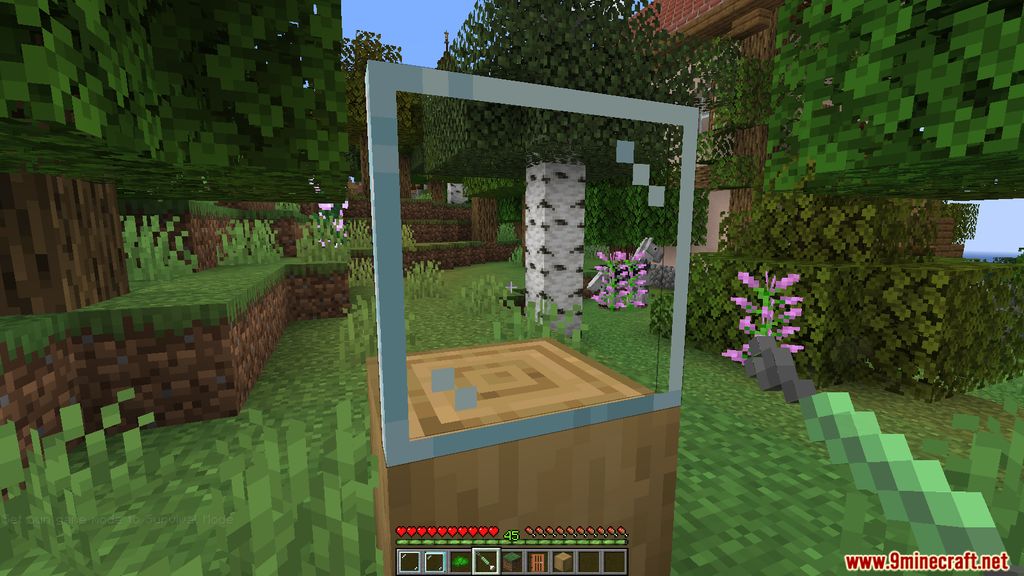 Pane in the Glass Mod Screenshots 6
