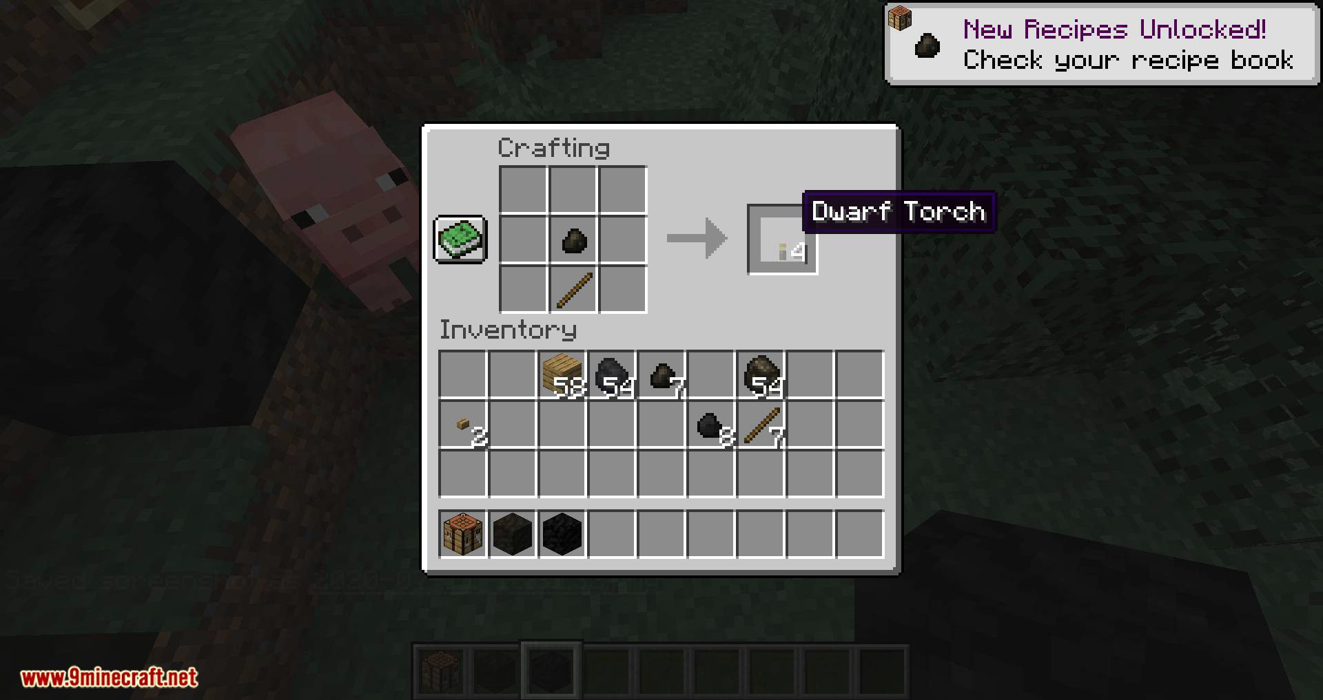 Dwarf Coal mod for minecraft 05