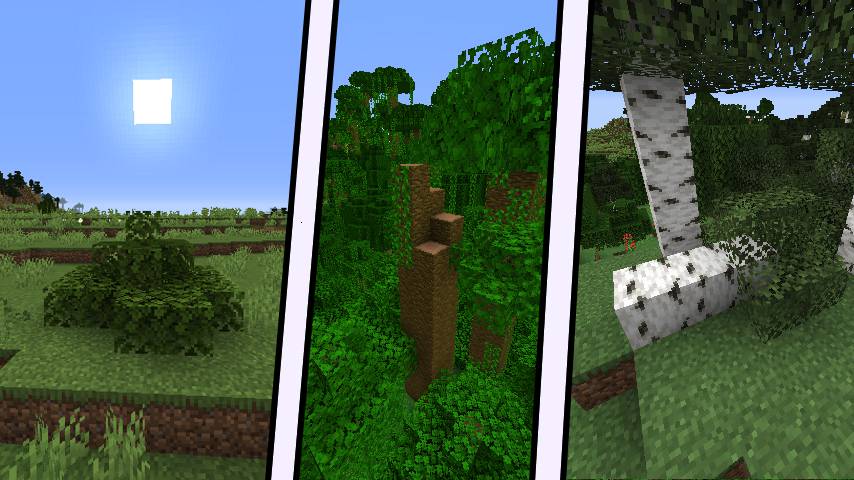 Dynamic World mod for minecraft 21