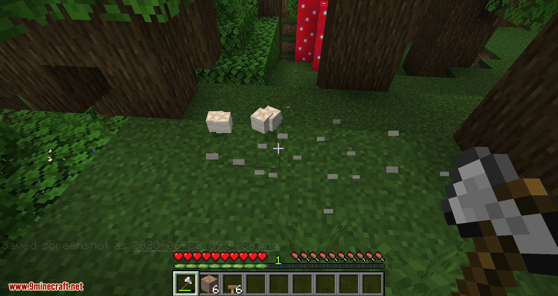 Enhanced Mushrooms mod for minecraft 06