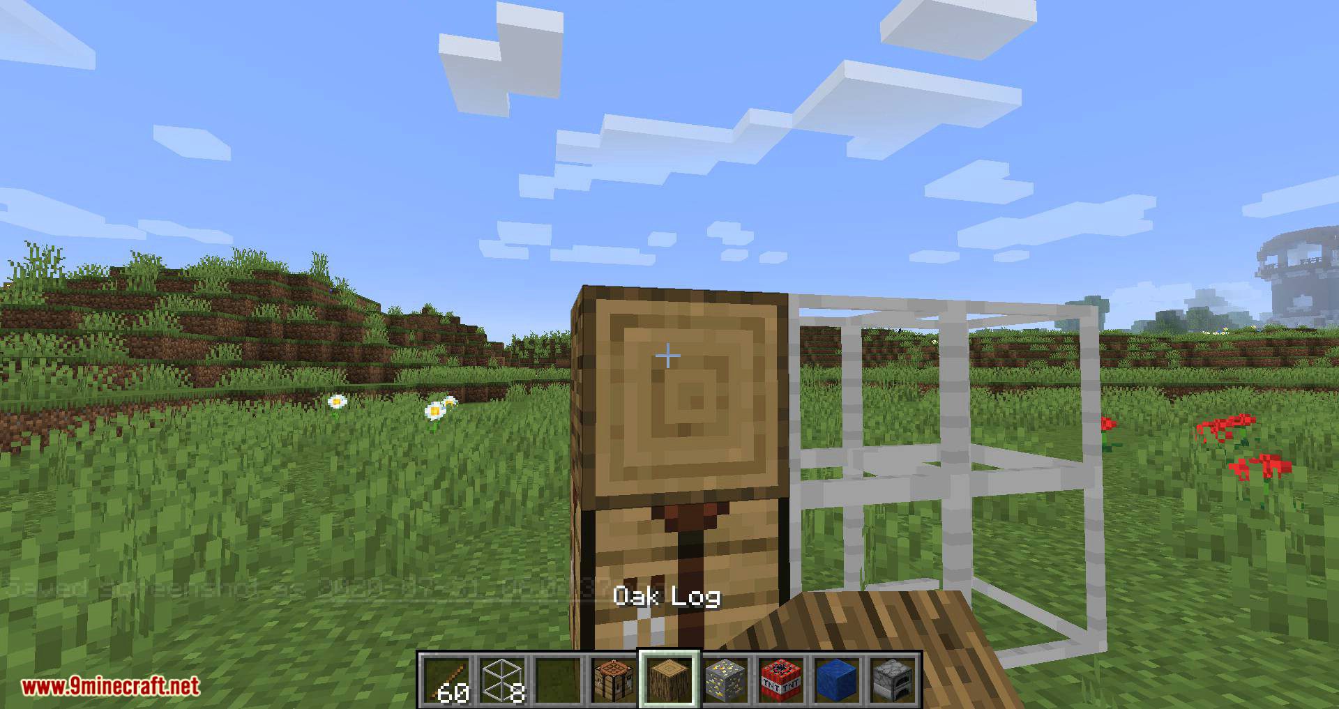 FakeBlocks mod for minecraft 05