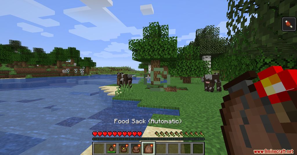 Фуд мод майнкрафт. Моды для реалистичного выживания в майнкрафт 1.16.5. Minecraft food Mod. Minecraft Pouch. Minecraft другой бар жизне голода мод 1.16.5.