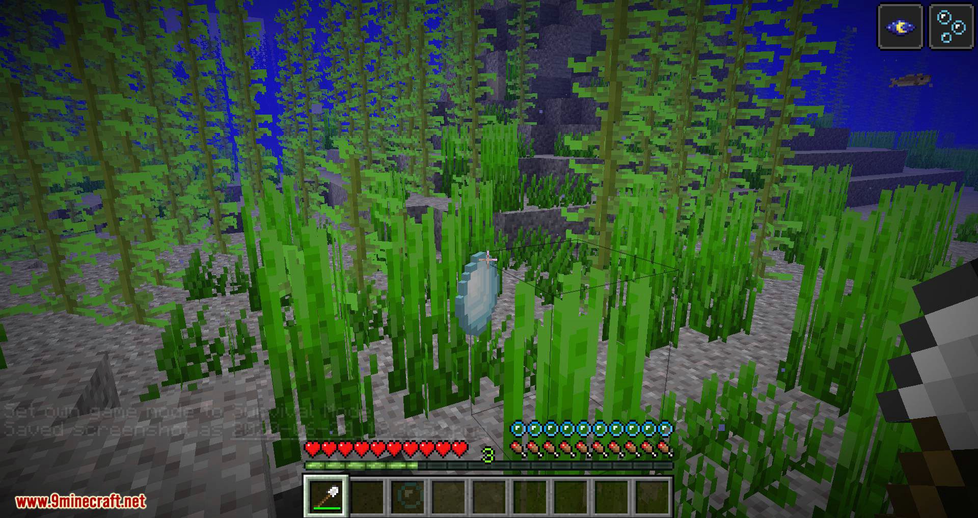 Ocean Gems mod for minecraft 04