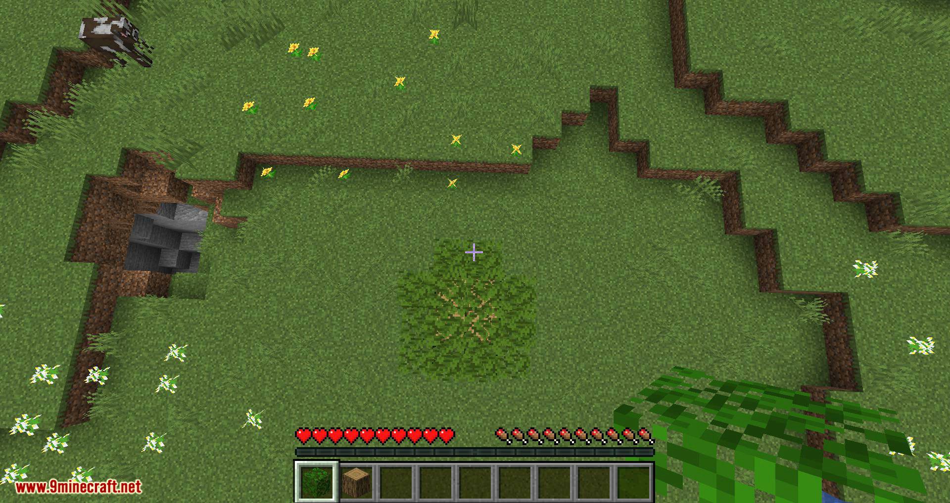 Passable Foliage mod for minecraft 08