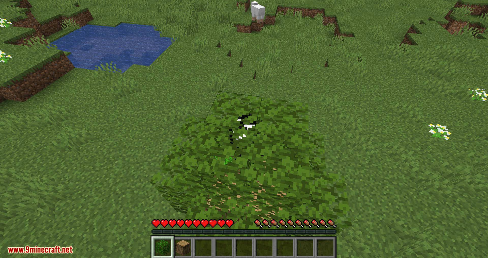 Passable Foliage mod for minecraft 09