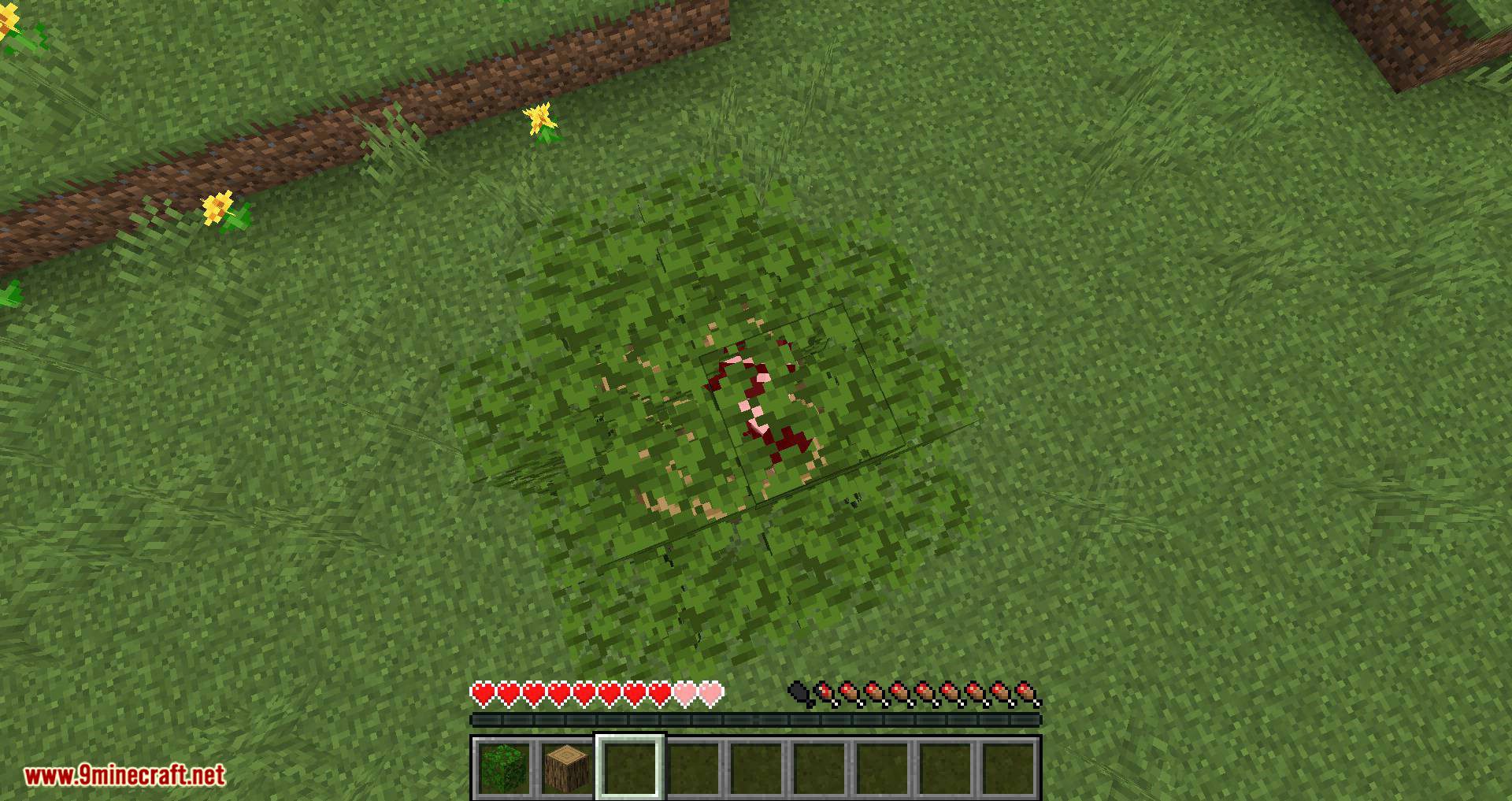 Passable Foliage mod for minecraft 11