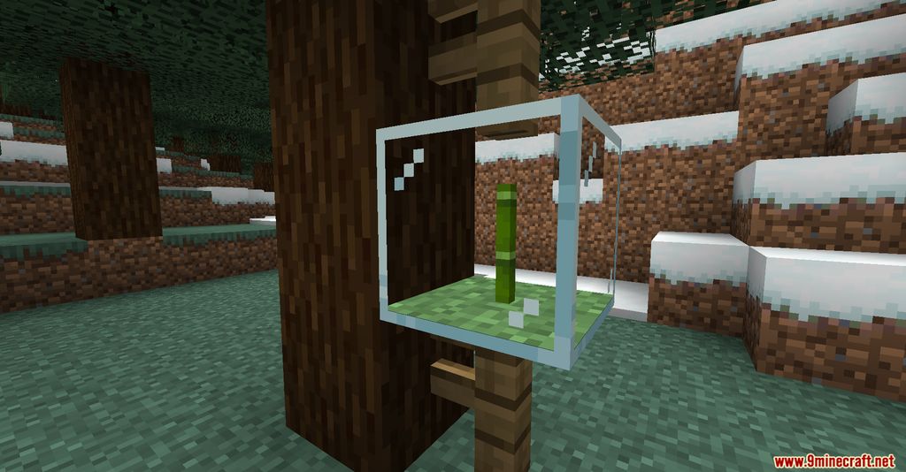 Plant in a Jar Mod Screenshots 2