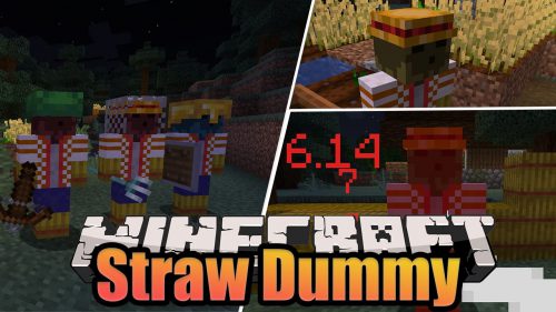 Straw Dummy Mod