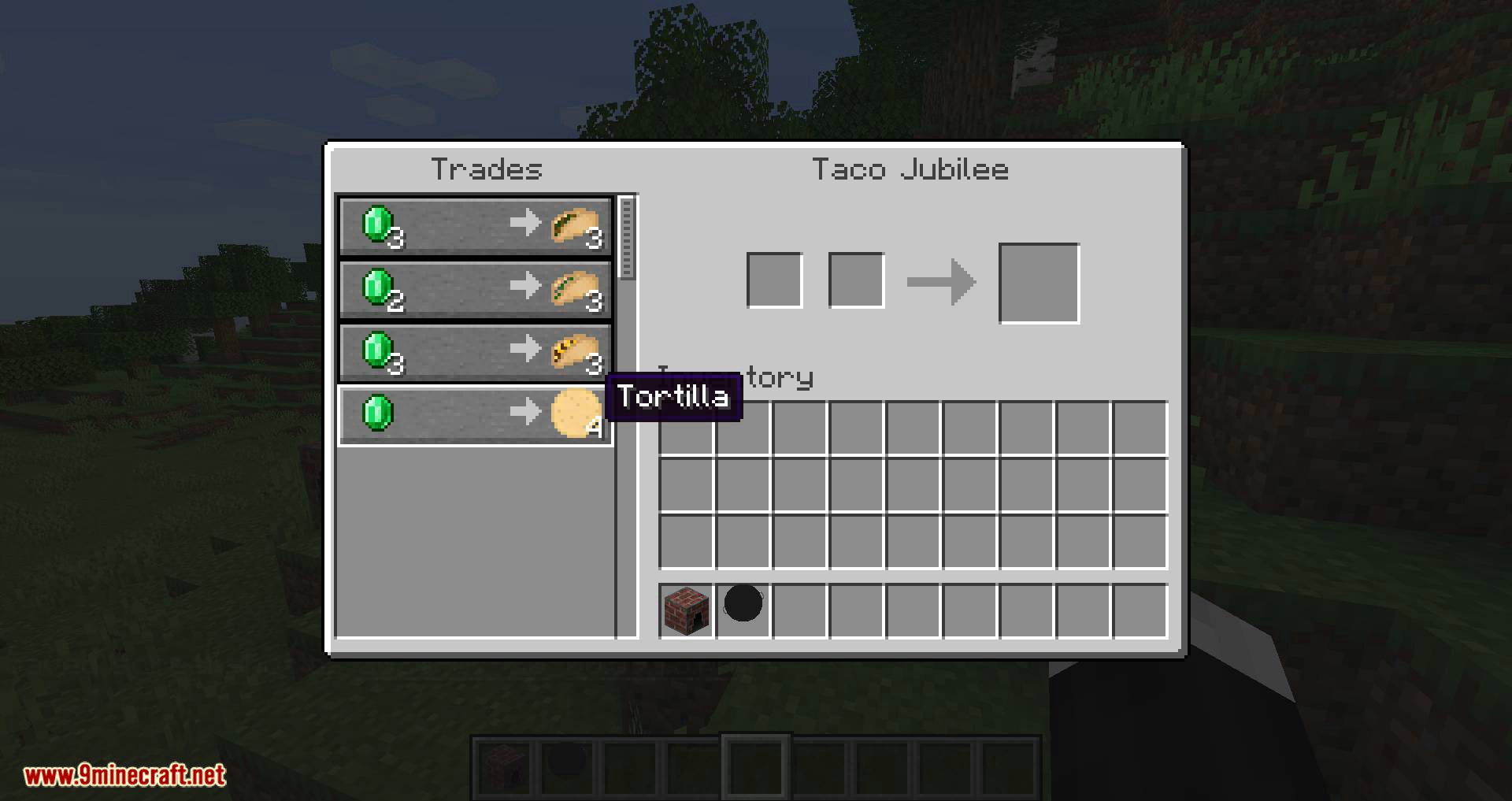 TacoCraft mod for minecraft 05