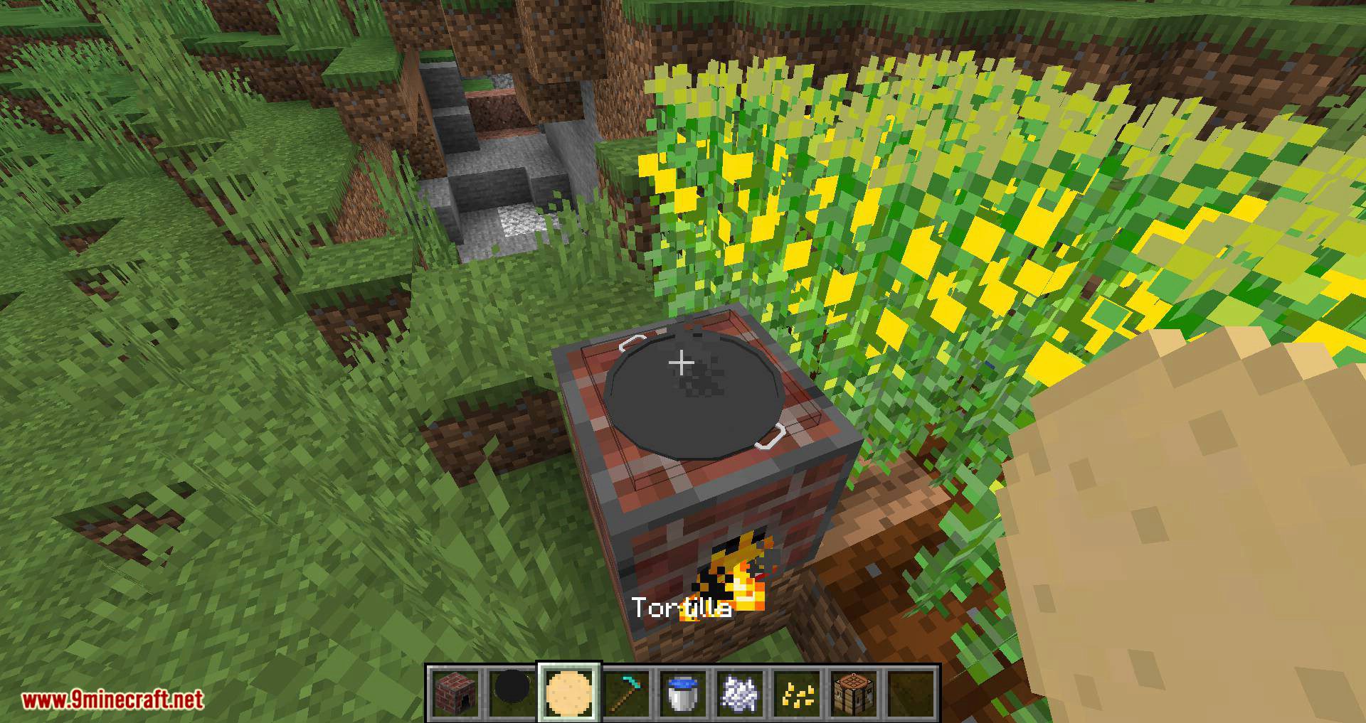 TacoCraft mod for minecraft 09