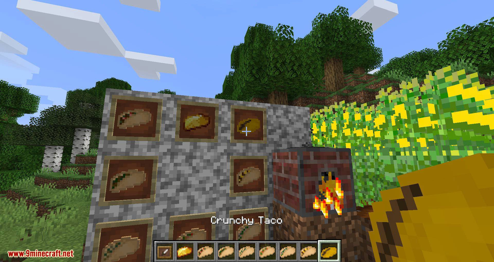 TacoCraft mod for minecraft 10