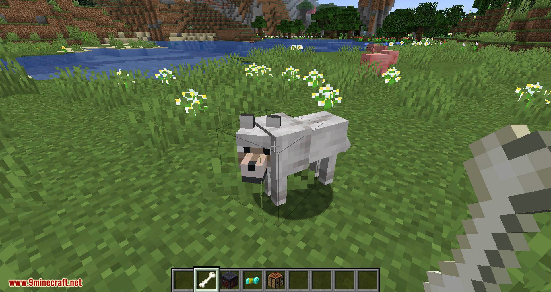 Wolves with armor mod for minecraft 05