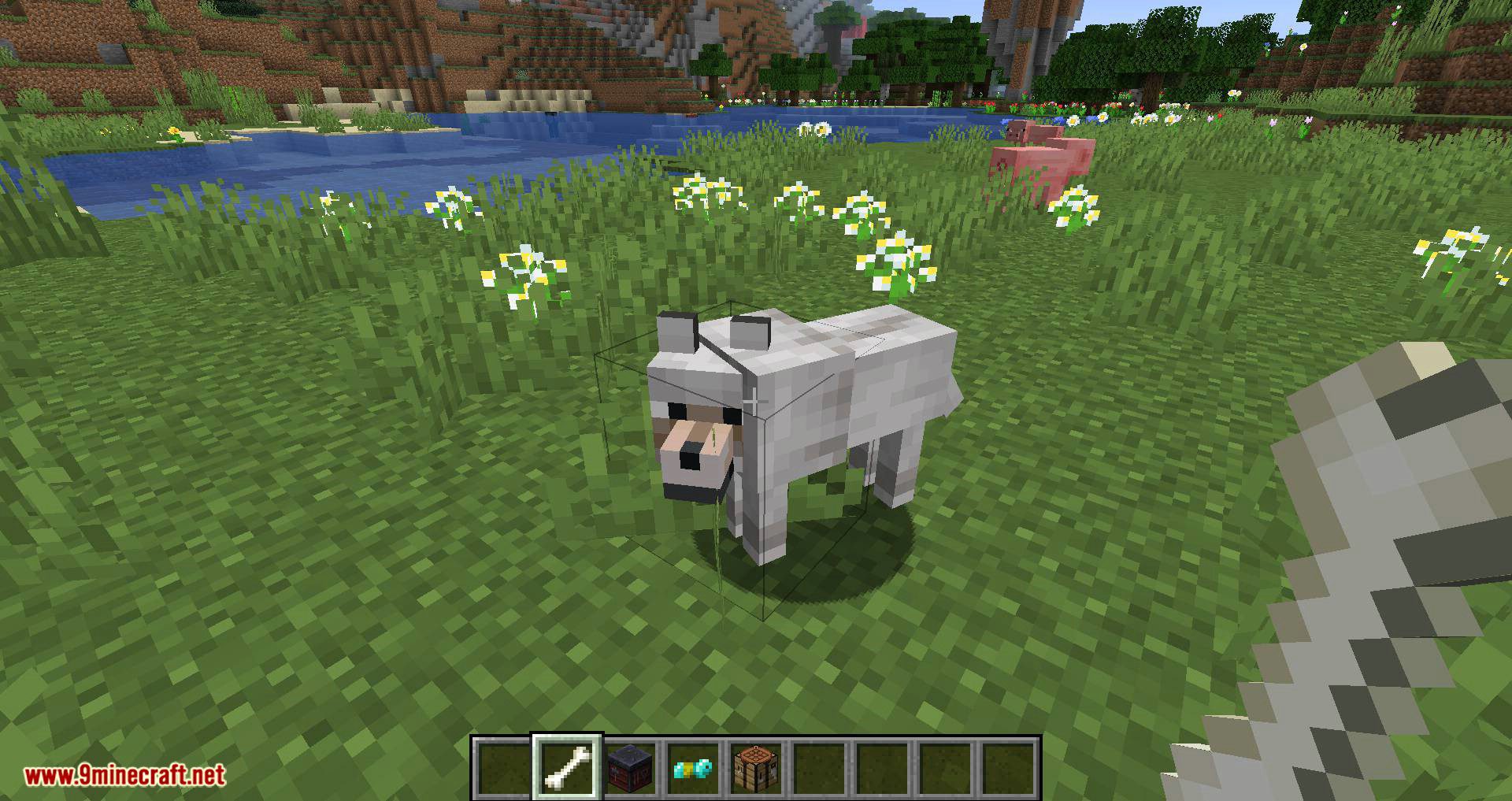 Wolves With Armor Mod (1.19.2, 1.18.2) - Armors for Your Best Friend 