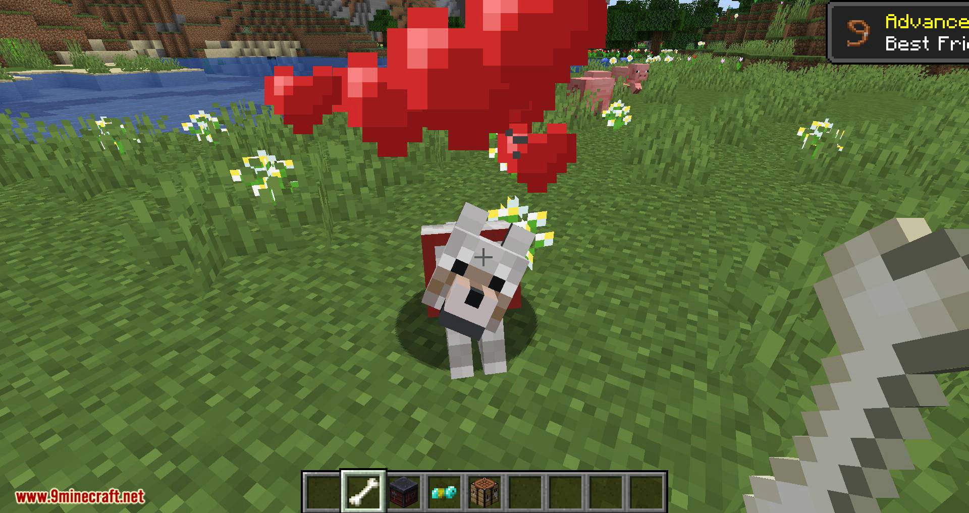 Wolves with armor mod for minecraft 06