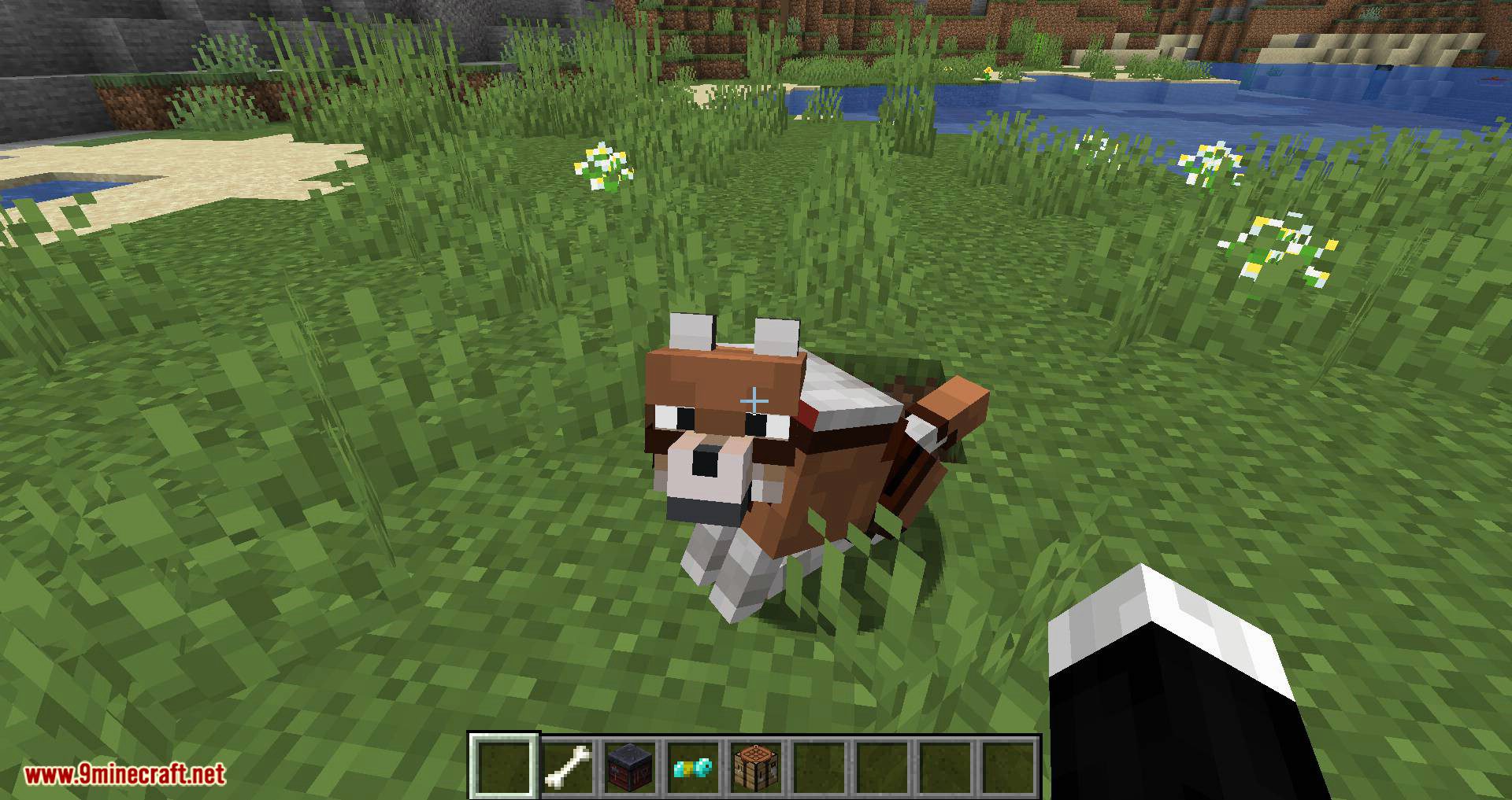 Wolves with armor mod for minecraft 07