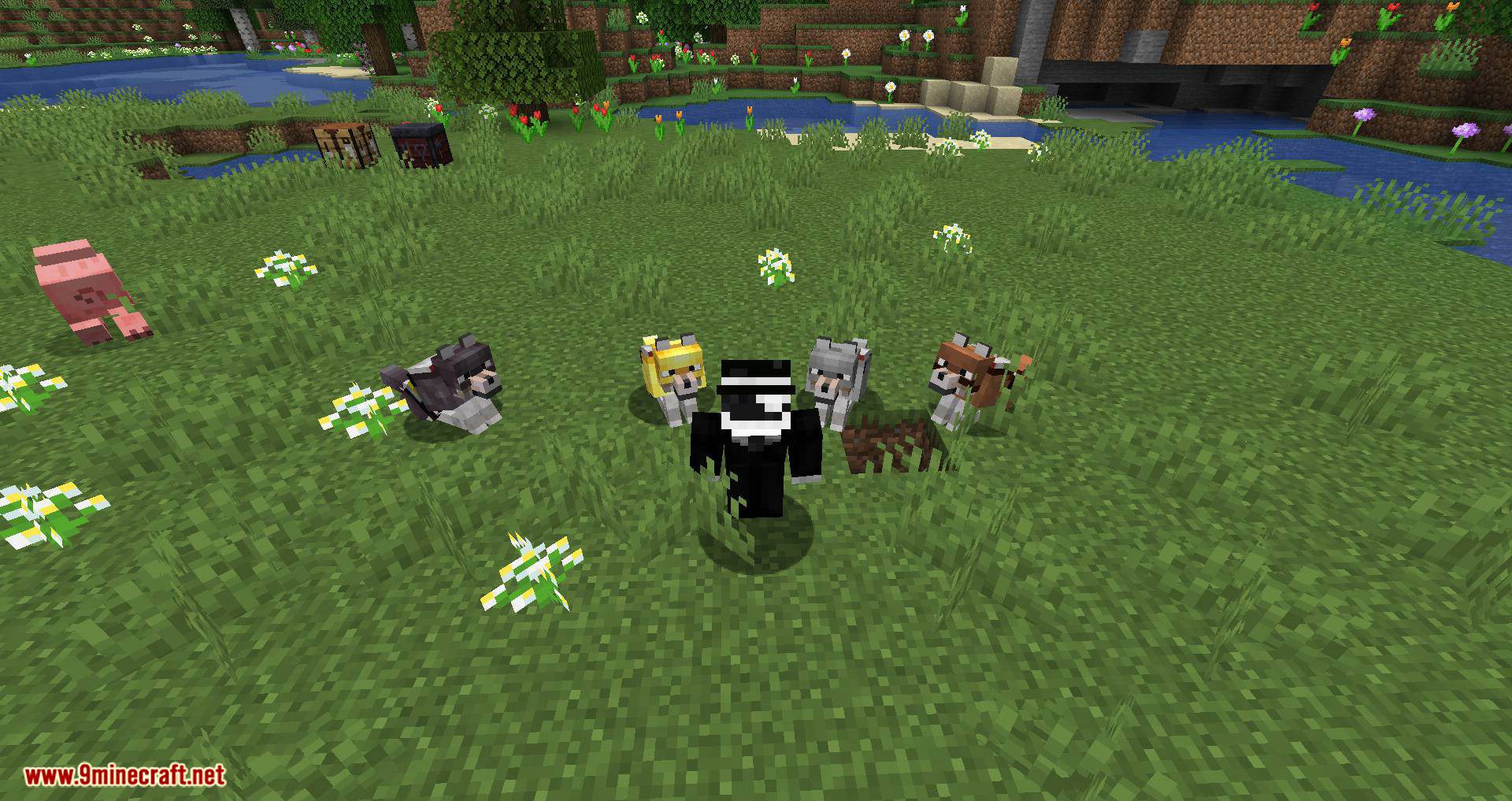 Wolves with armor mod for minecraft 08