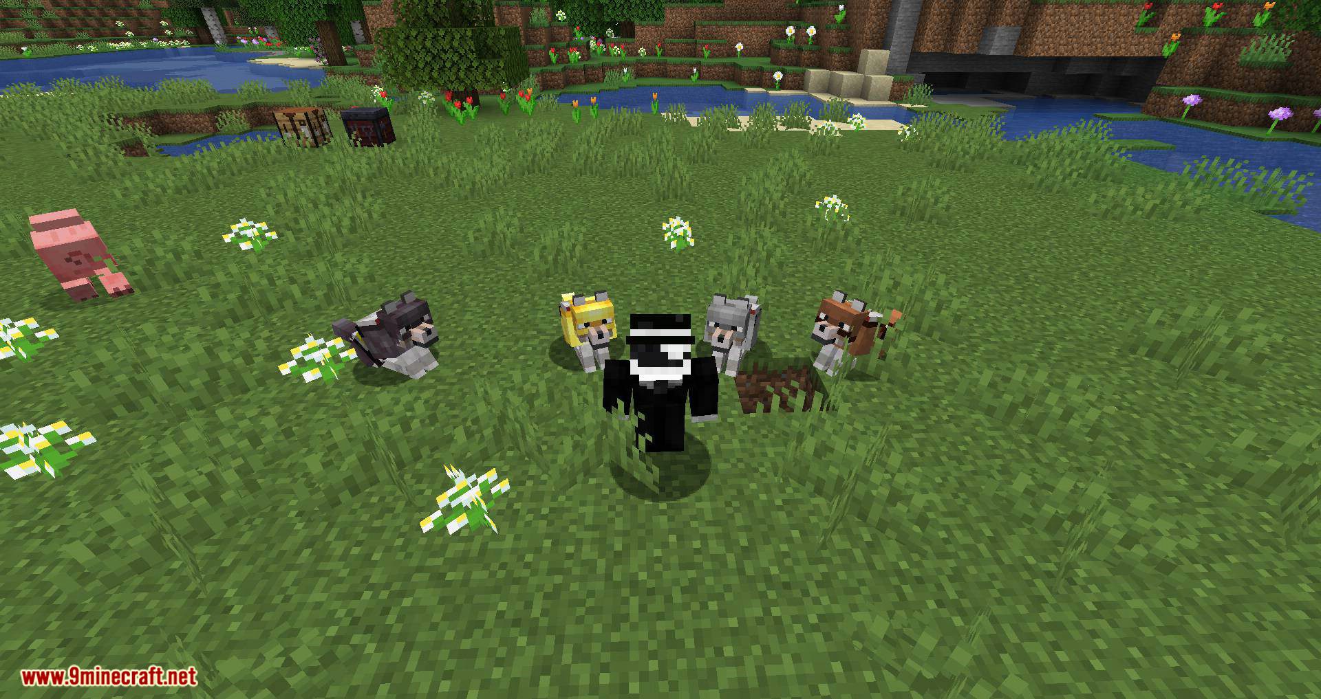 Wolves With Armor Mod (1.19.2, 1.18.2) - Armors for Your Best Friend 