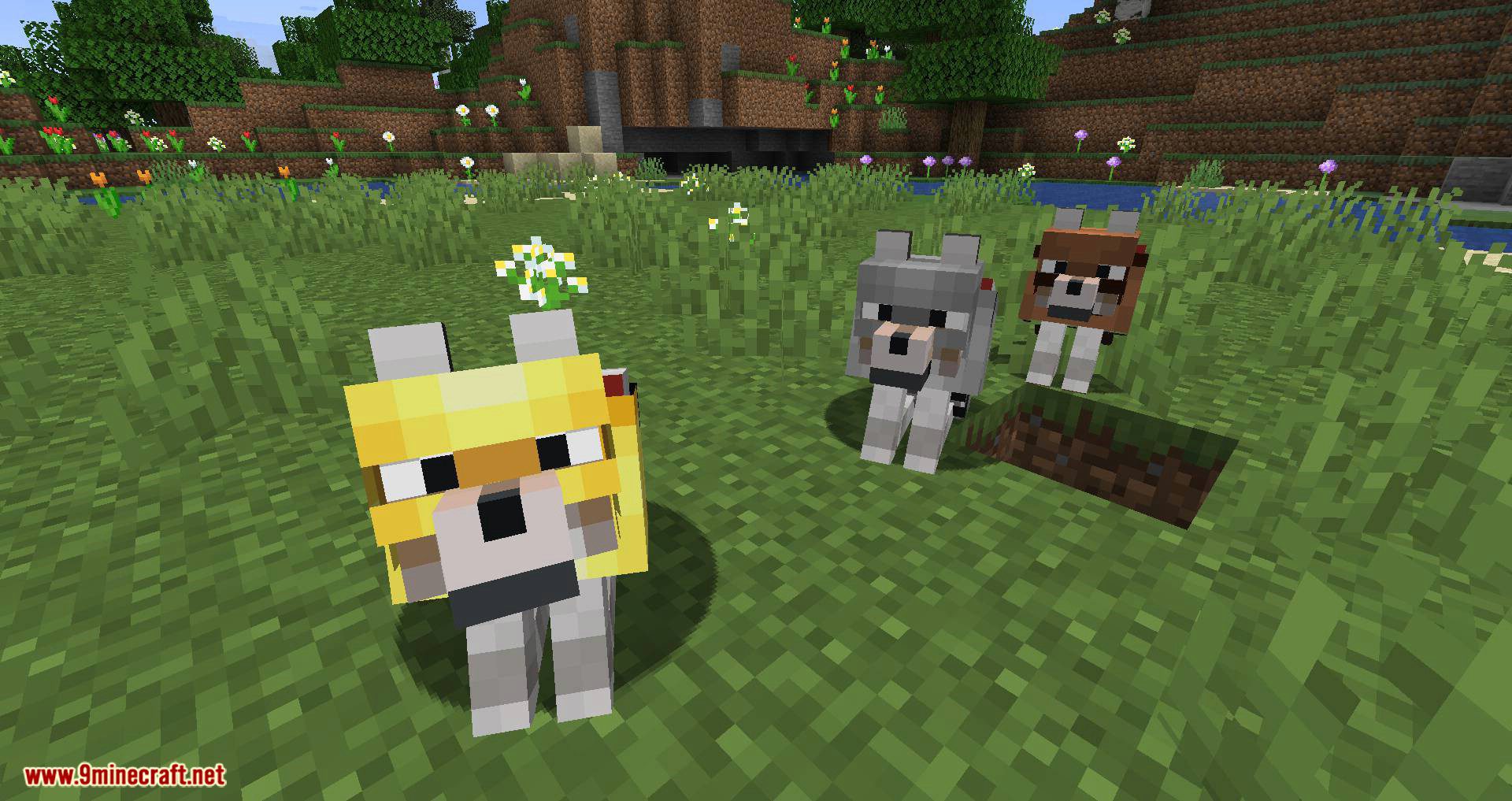 Wolves with armor mod for minecraft 10