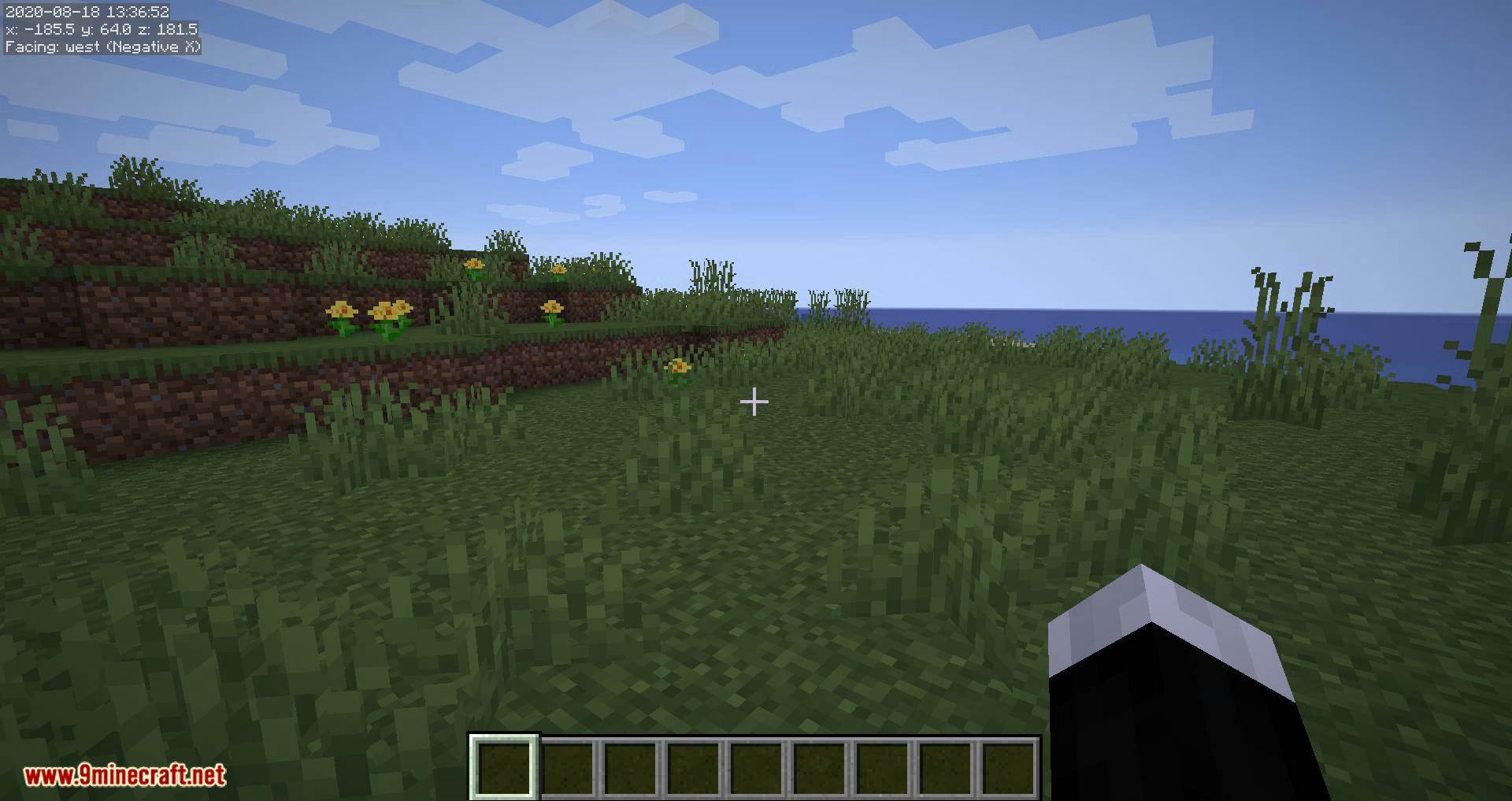 MiniHUD mod for minecraft 01