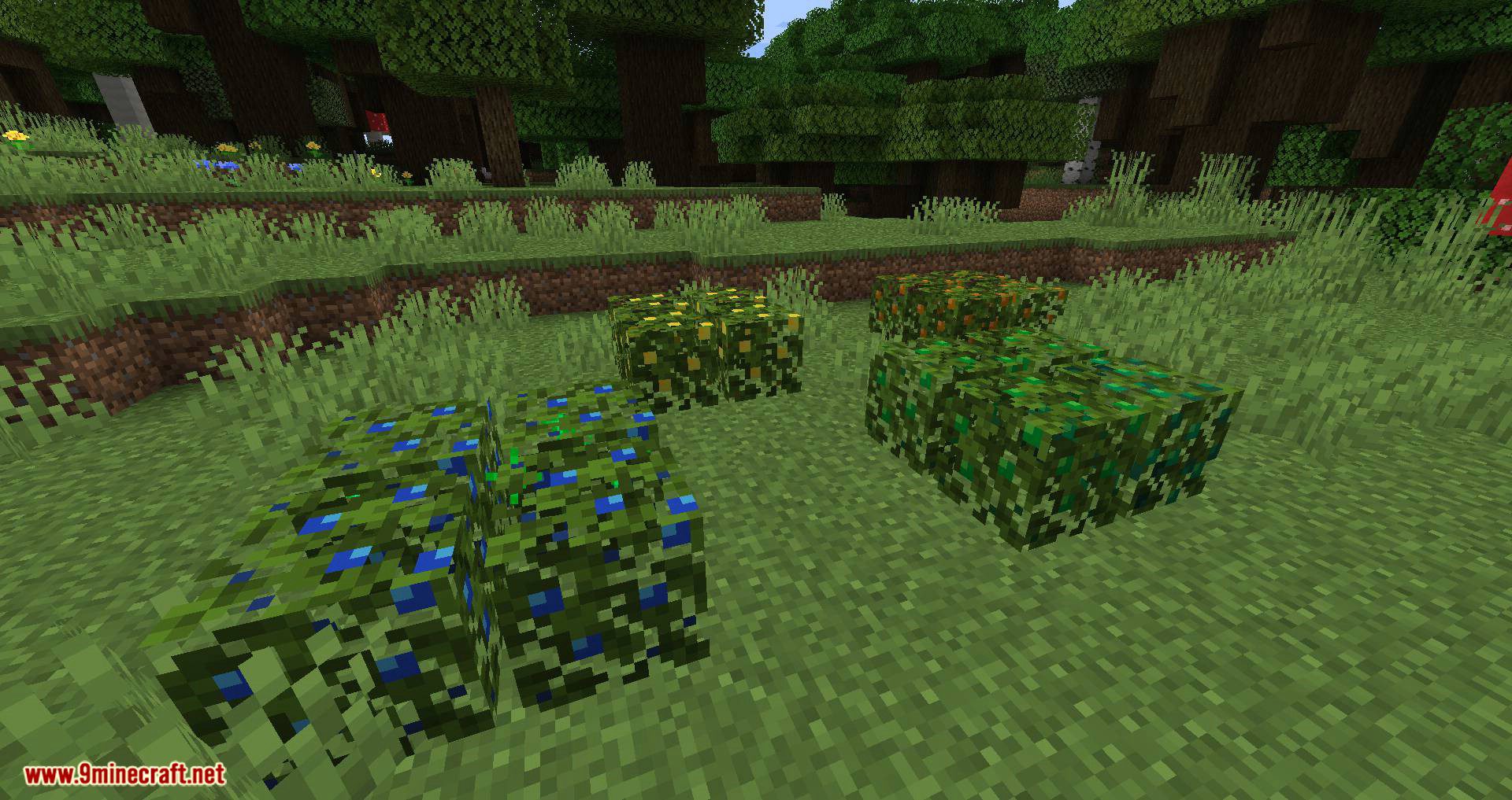 More Berries mod for minecraft 01