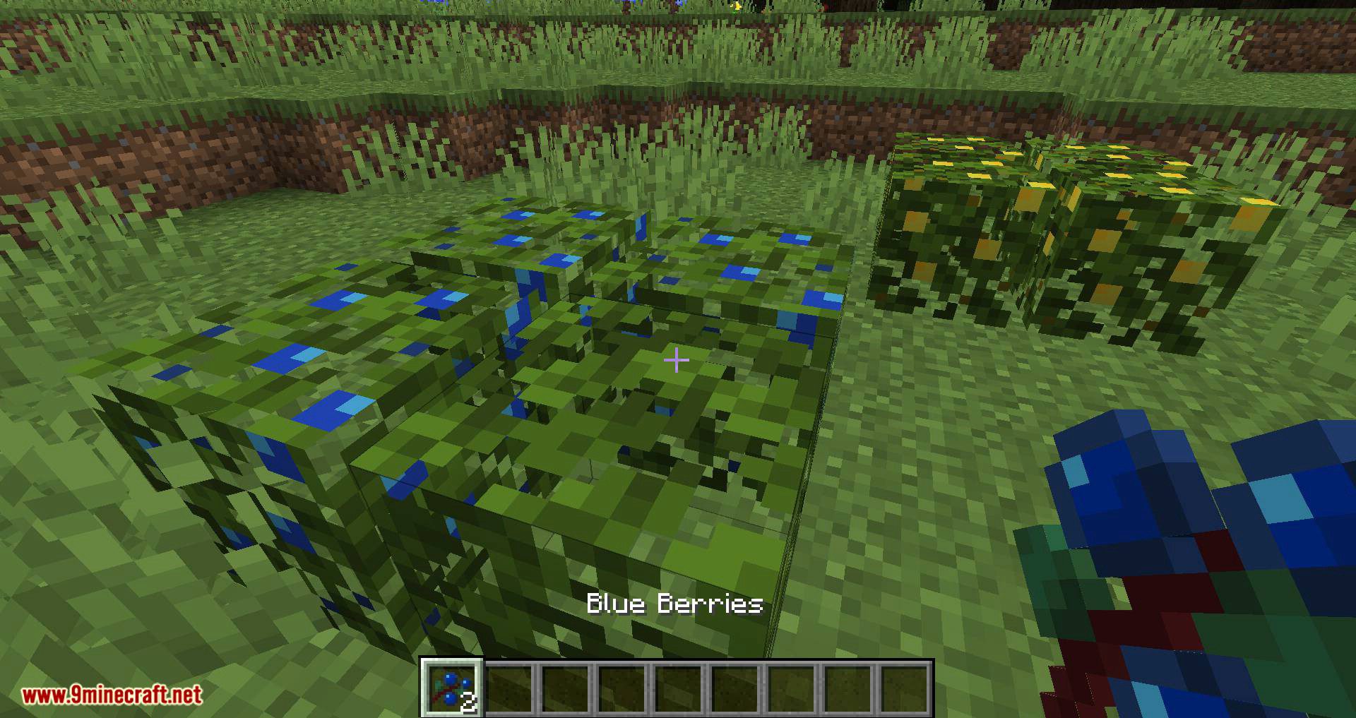 More Berries mod for minecraft 02