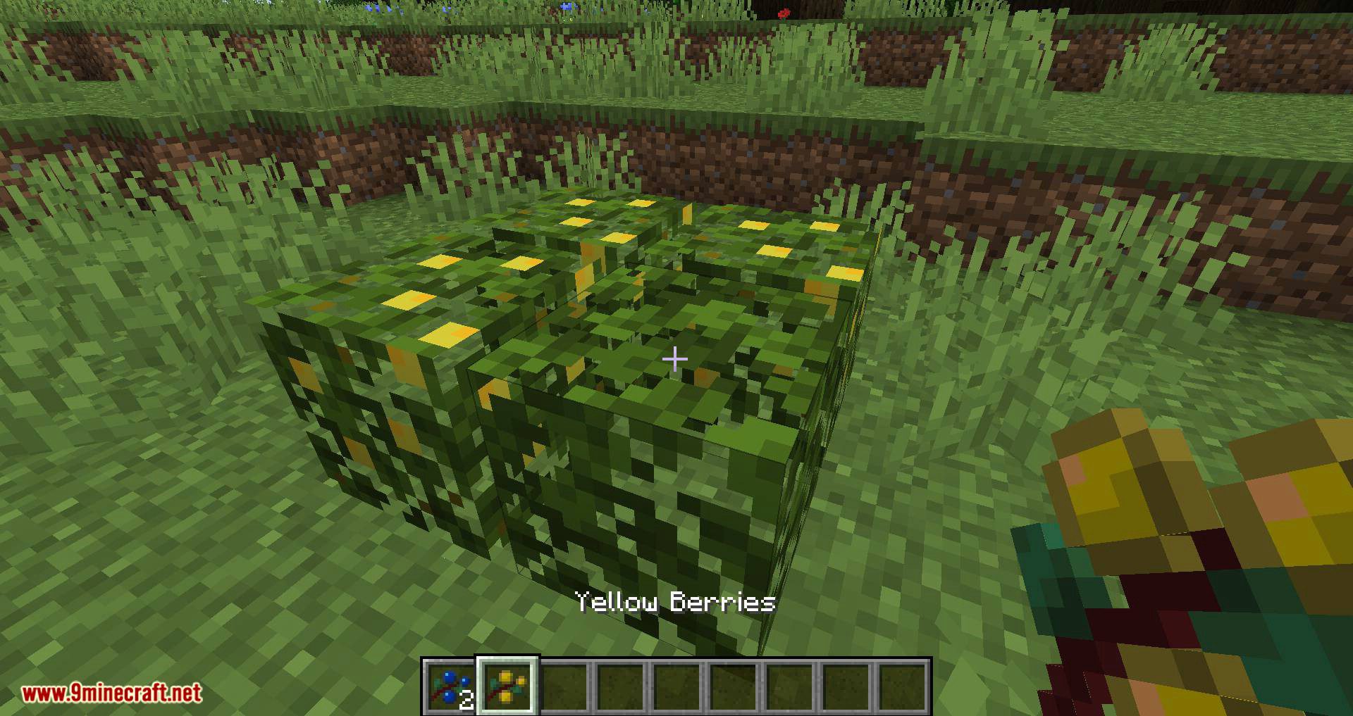 More Berries mod for minecraft 03