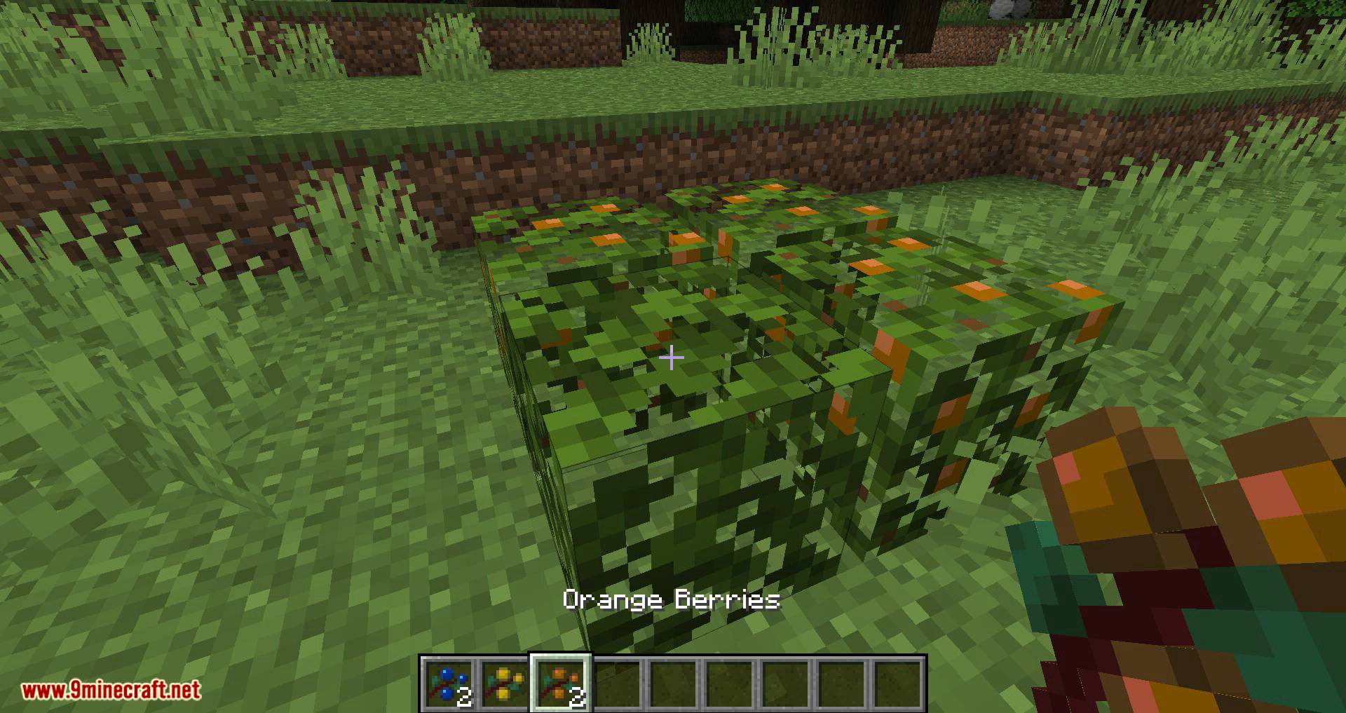 More Berries mod for minecraft 04