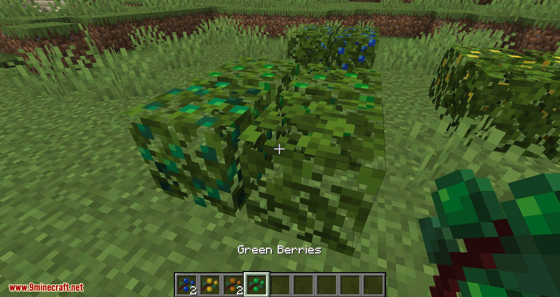 More Berries mod for minecraft 05