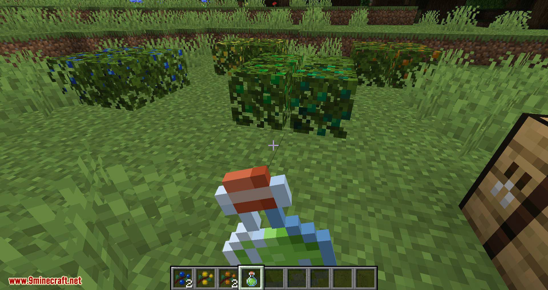 More Berries mod for minecraft 07