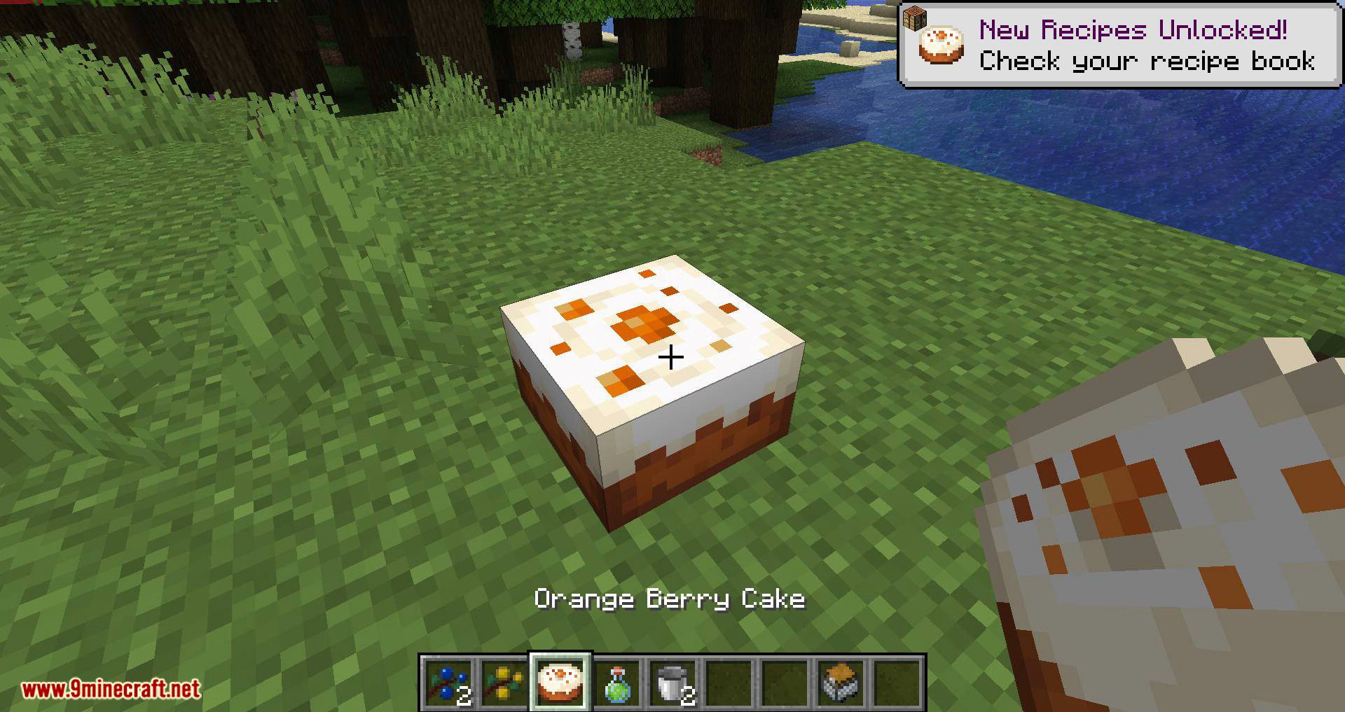 More Berries mod for minecraft 09