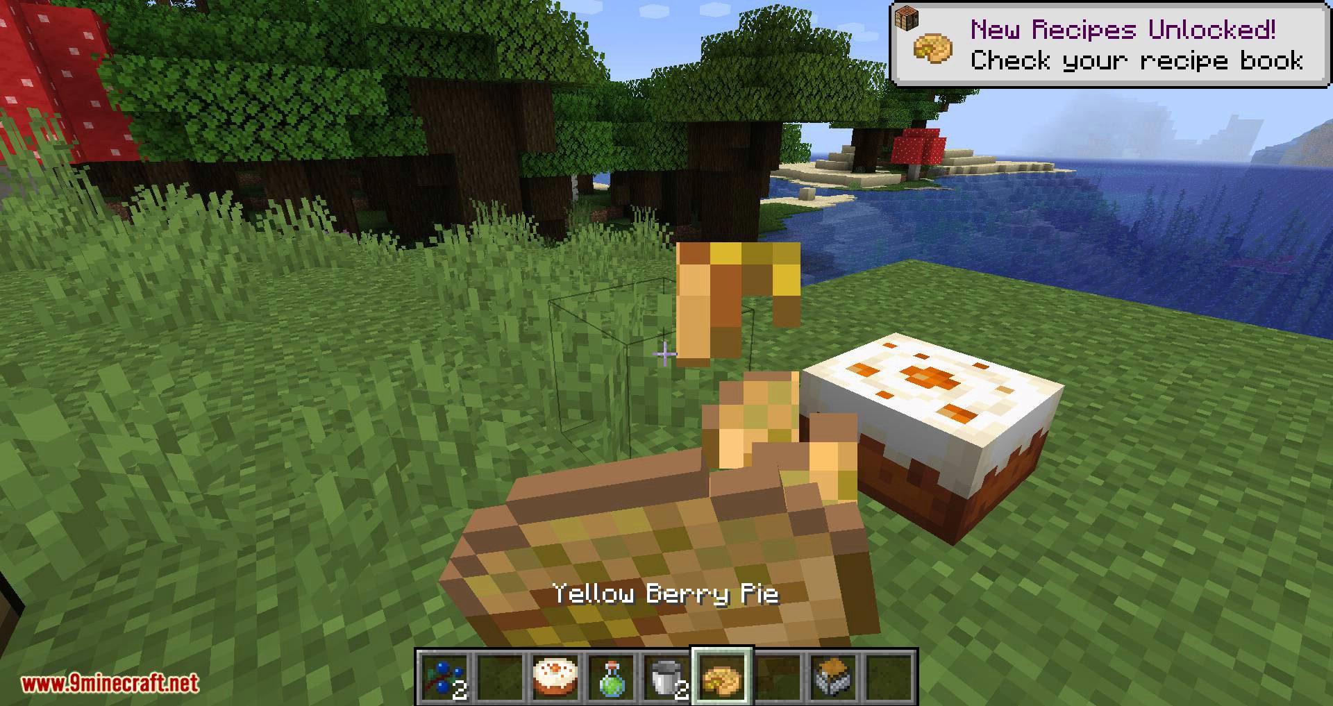 More Berries mod for minecraft 11