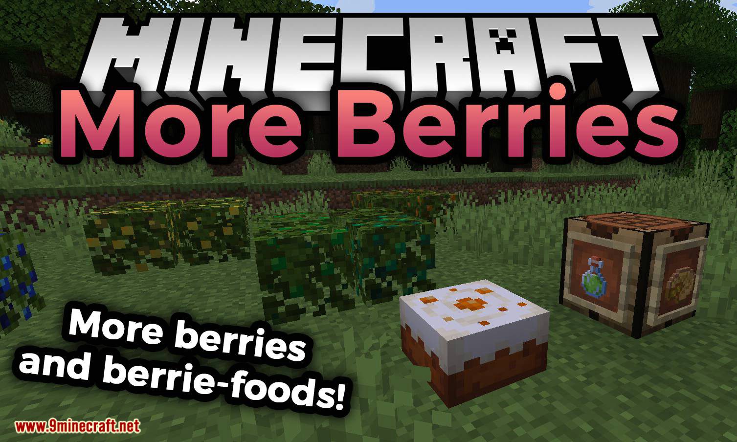 More Berries mod for minecraft logo