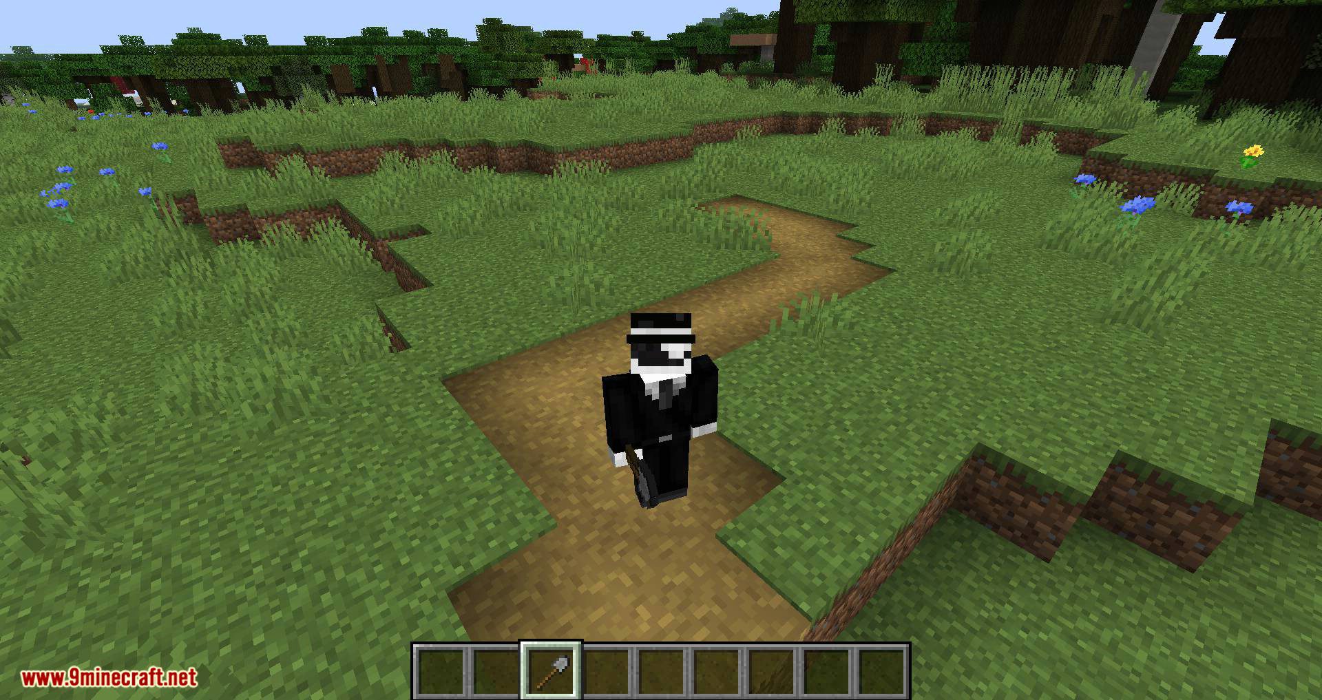 More Paths mod for minecraft 03