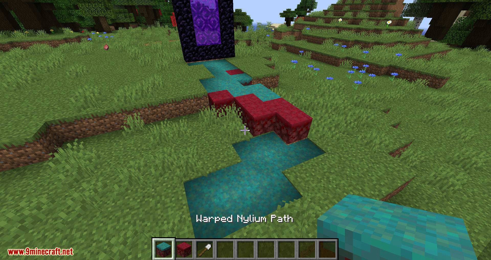 More Paths mod for minecraft 09