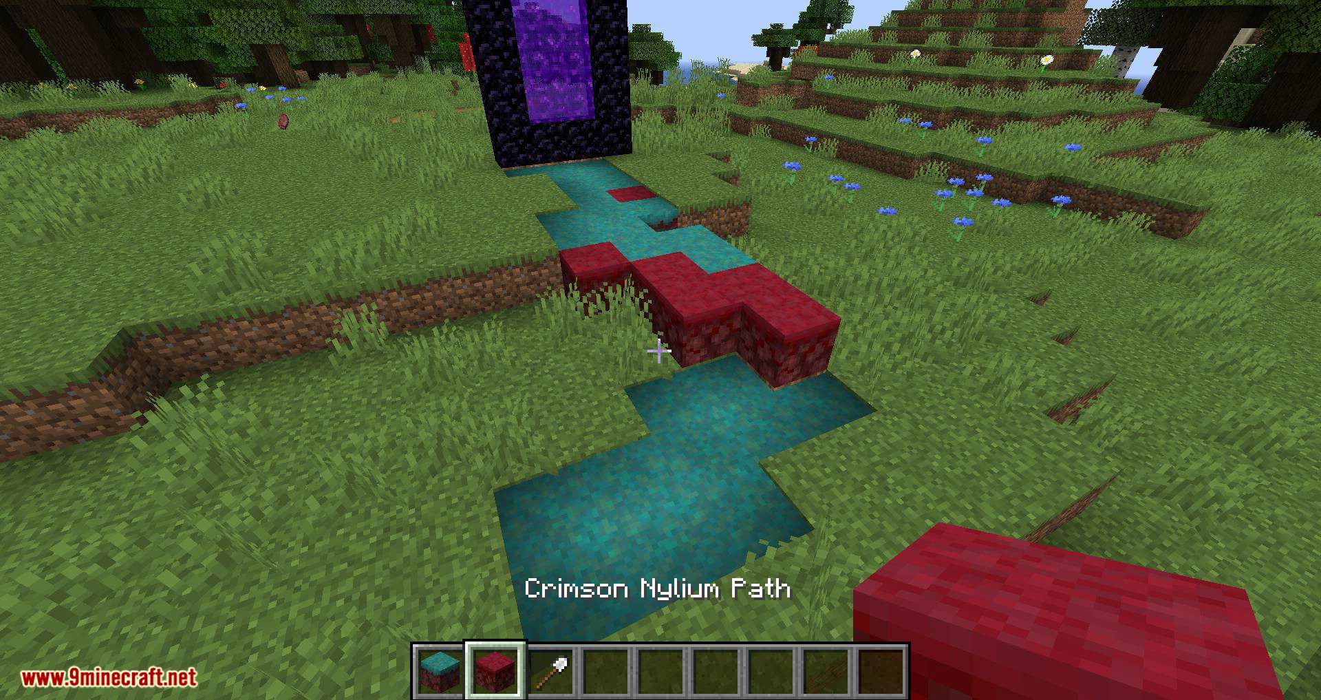 More Paths mod for minecraft 10