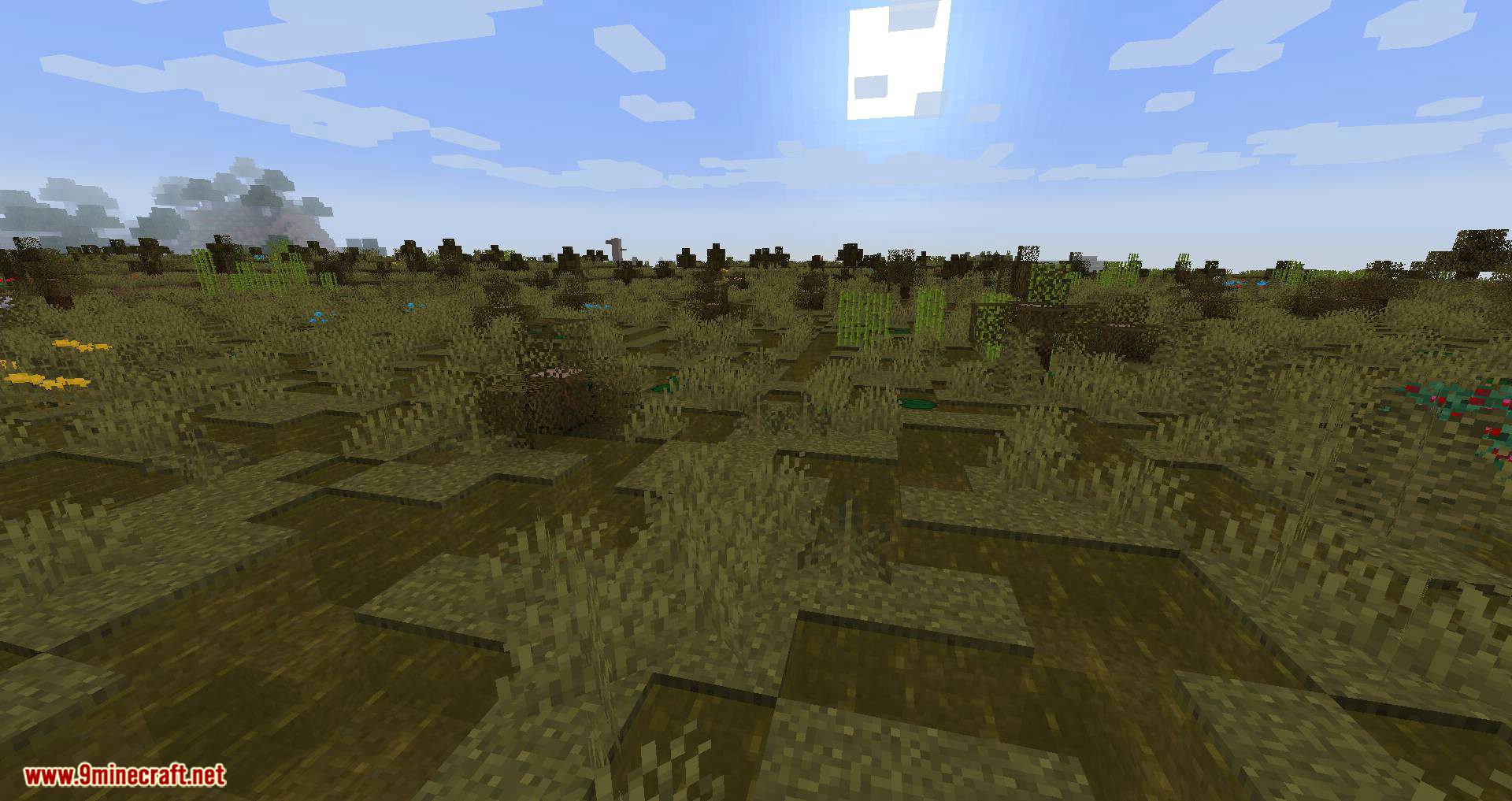 Woods and Mires mod for minecraft 01