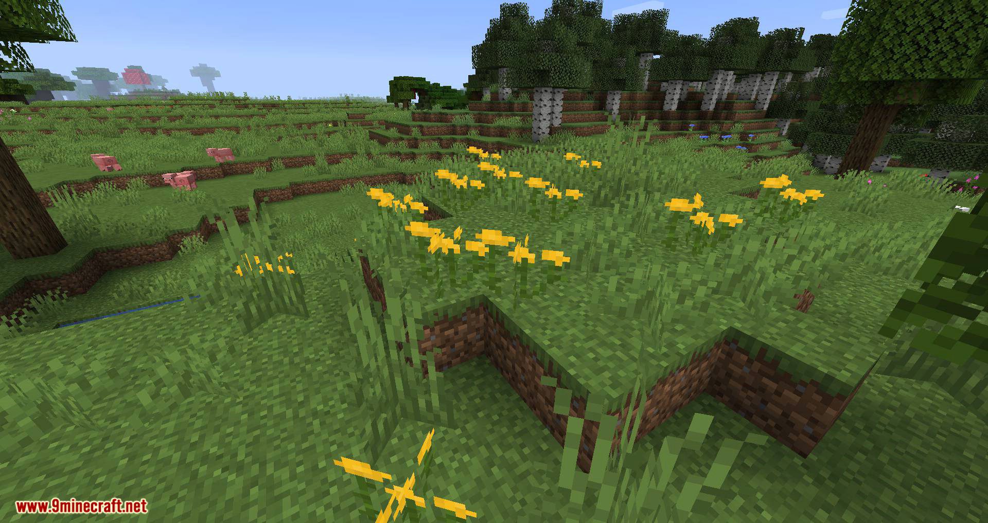 Woods and Mires mod for minecraft 04