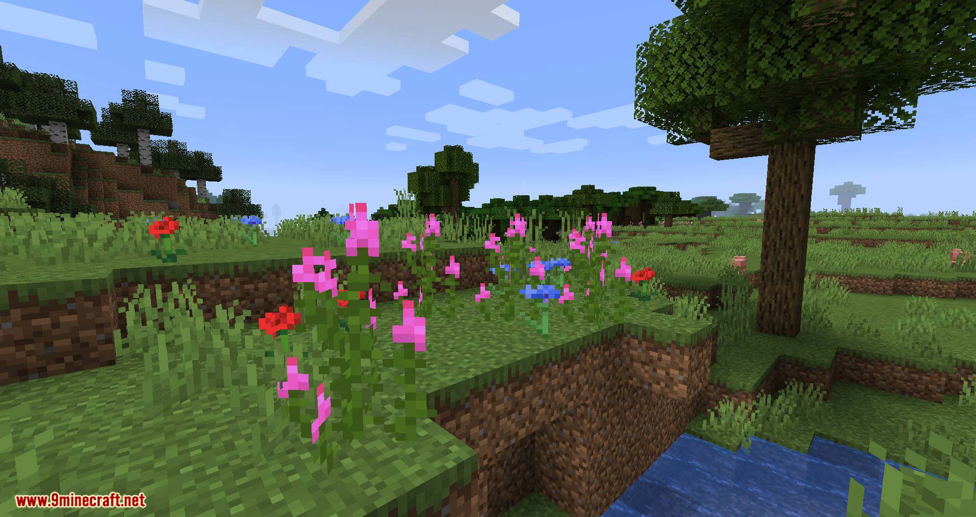 Woods and Mires mod for minecraft 05