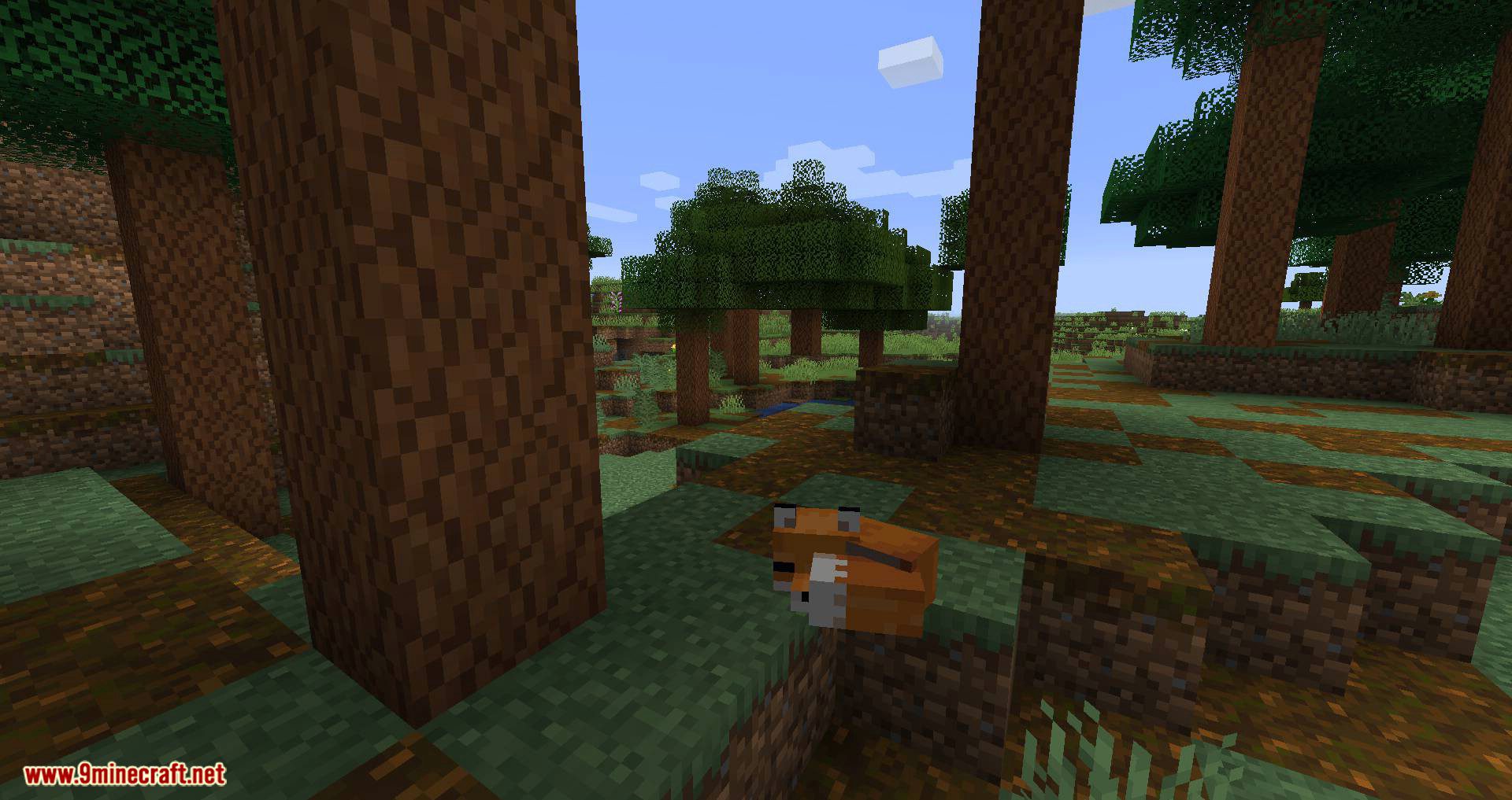 Woods and Mires mod for minecraft 07